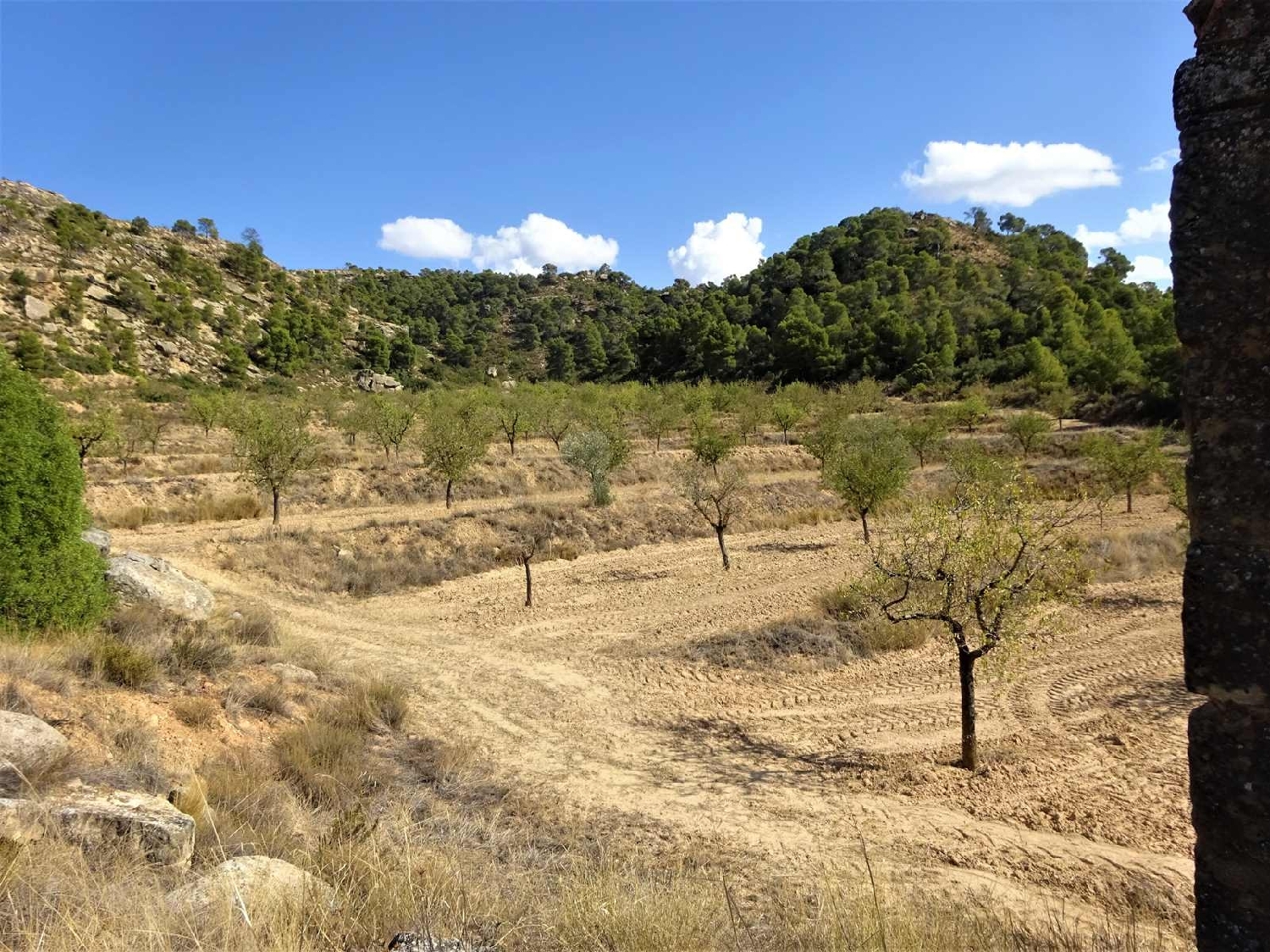  à vendre maison de campagne Maella Bajo Aragón-Caspe 11