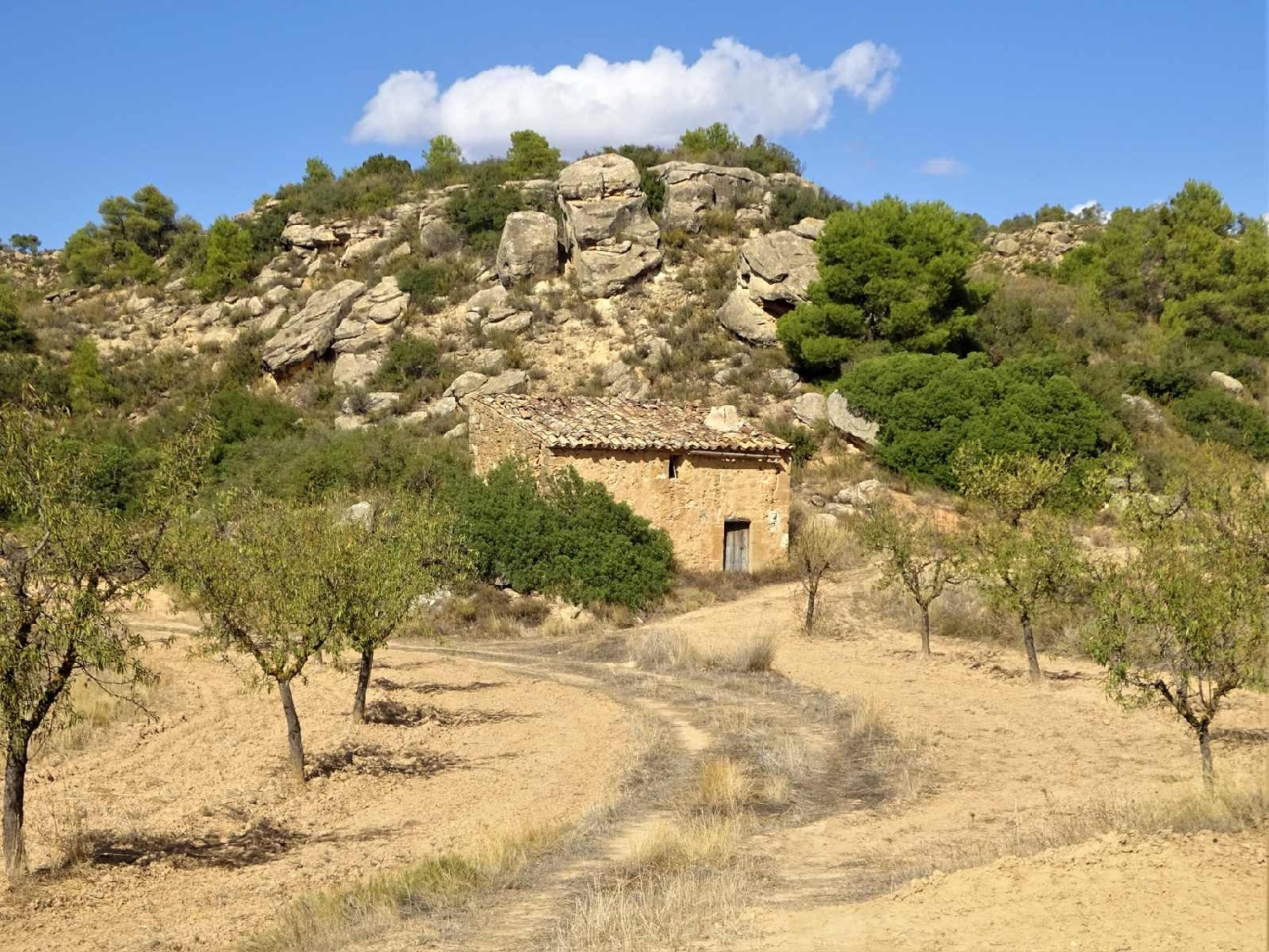  à vendre maison de campagne Maella Bajo Aragón-Caspe 5