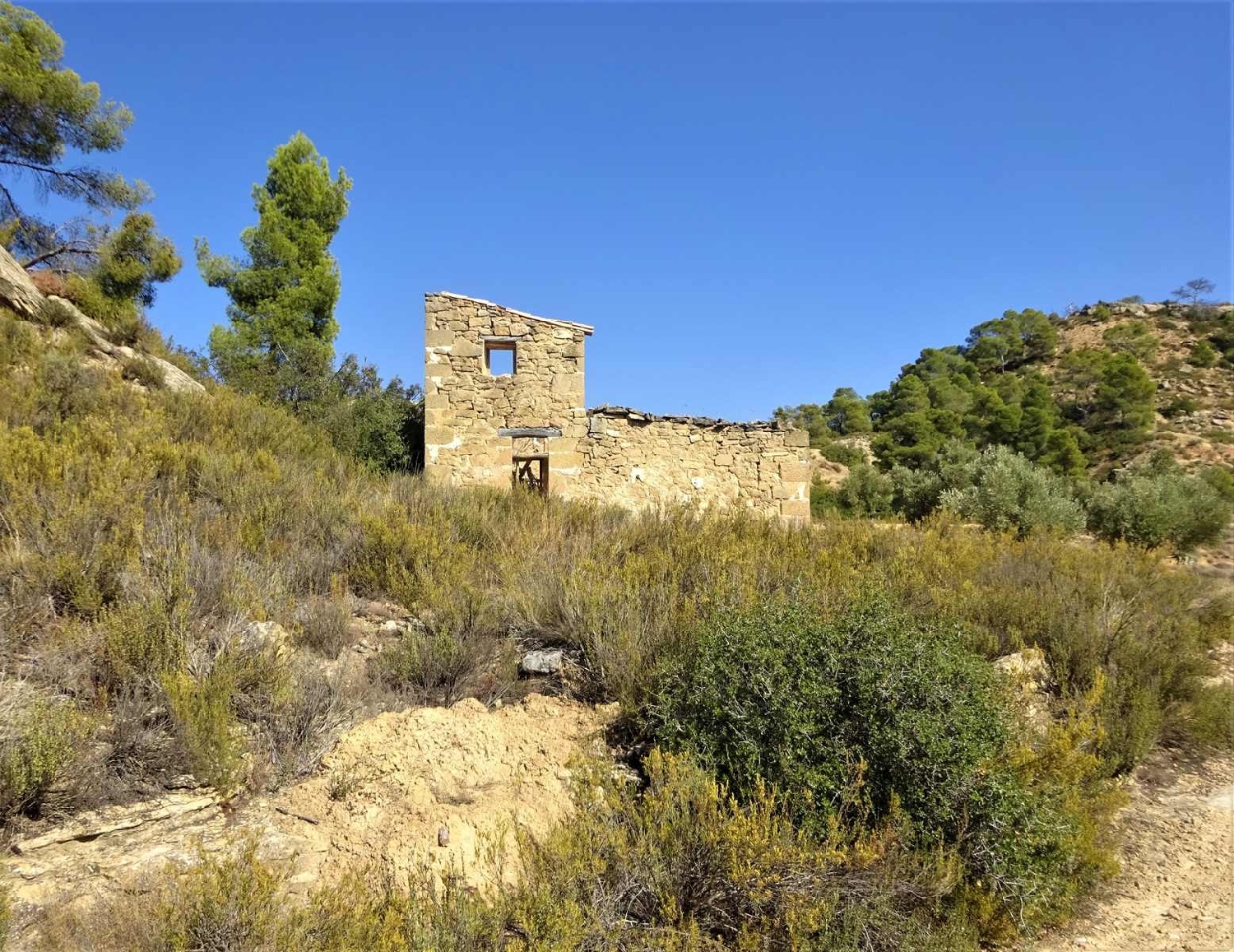  à vendre maison de campagne Maella Bajo Aragón-Caspe 14