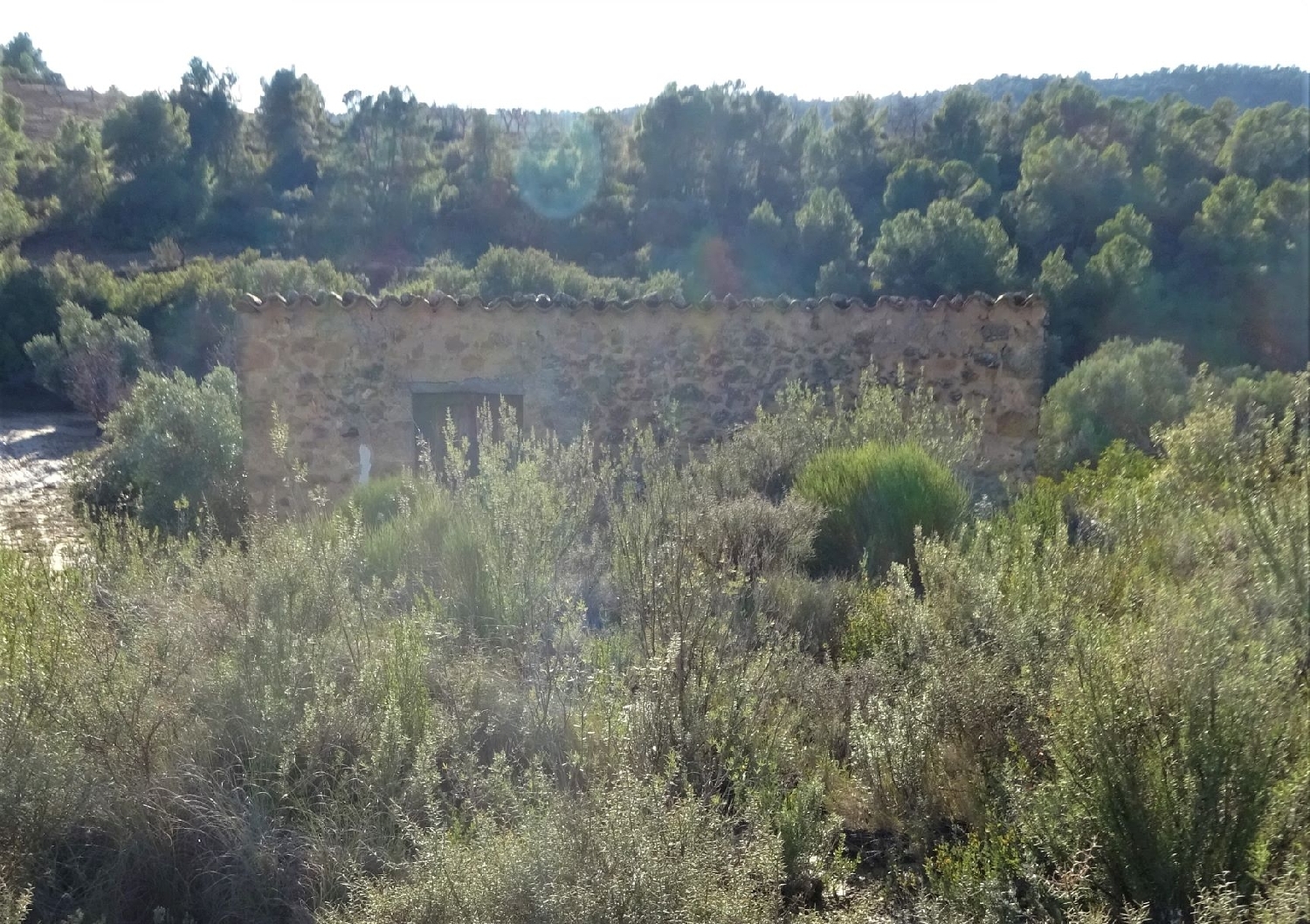  te koop boerderij Maella Bajo Aragón-Caspe 7