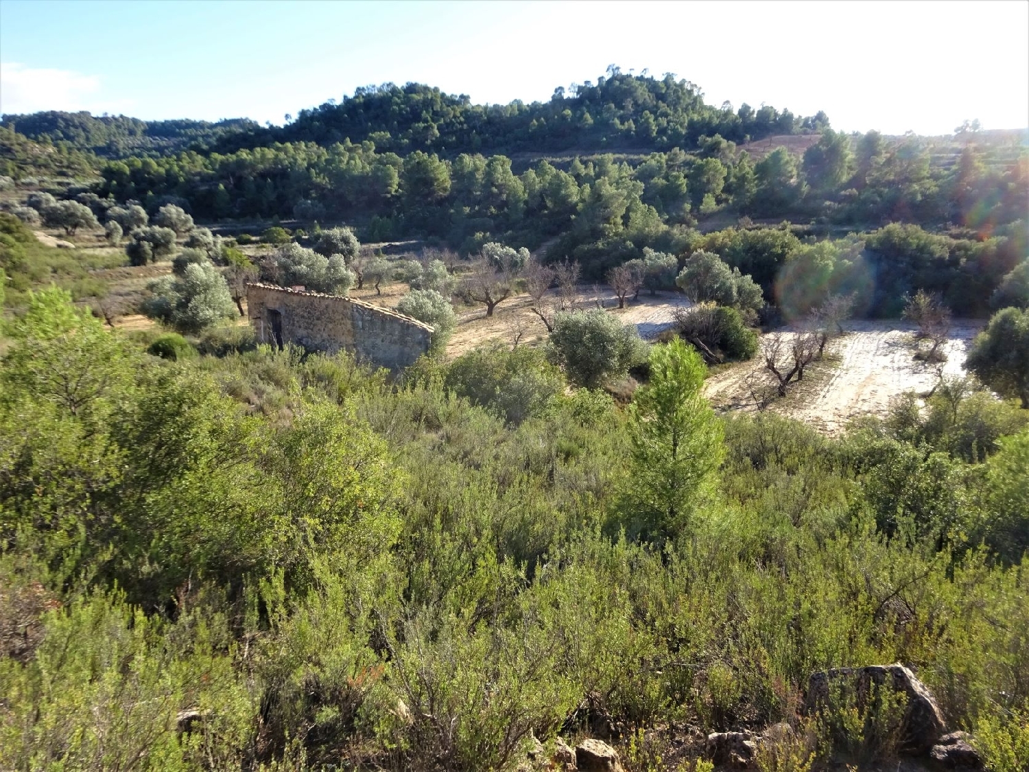  te koop boerderij Maella Bajo Aragón-Caspe 2