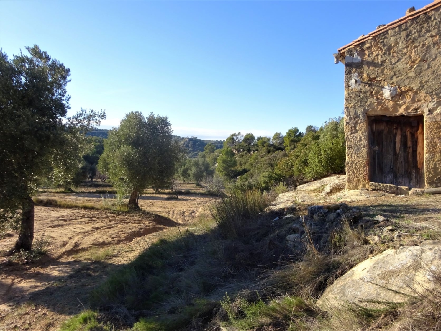  te koop boerderij Maella Bajo Aragón-Caspe 3