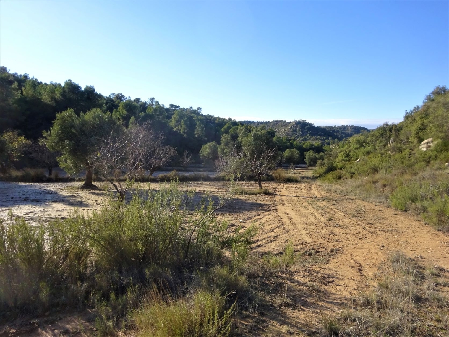  te koop boerderij Maella Bajo Aragón-Caspe 15