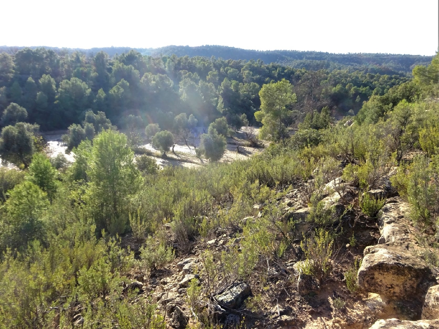  te koop boerderij Maella Bajo Aragón-Caspe 11