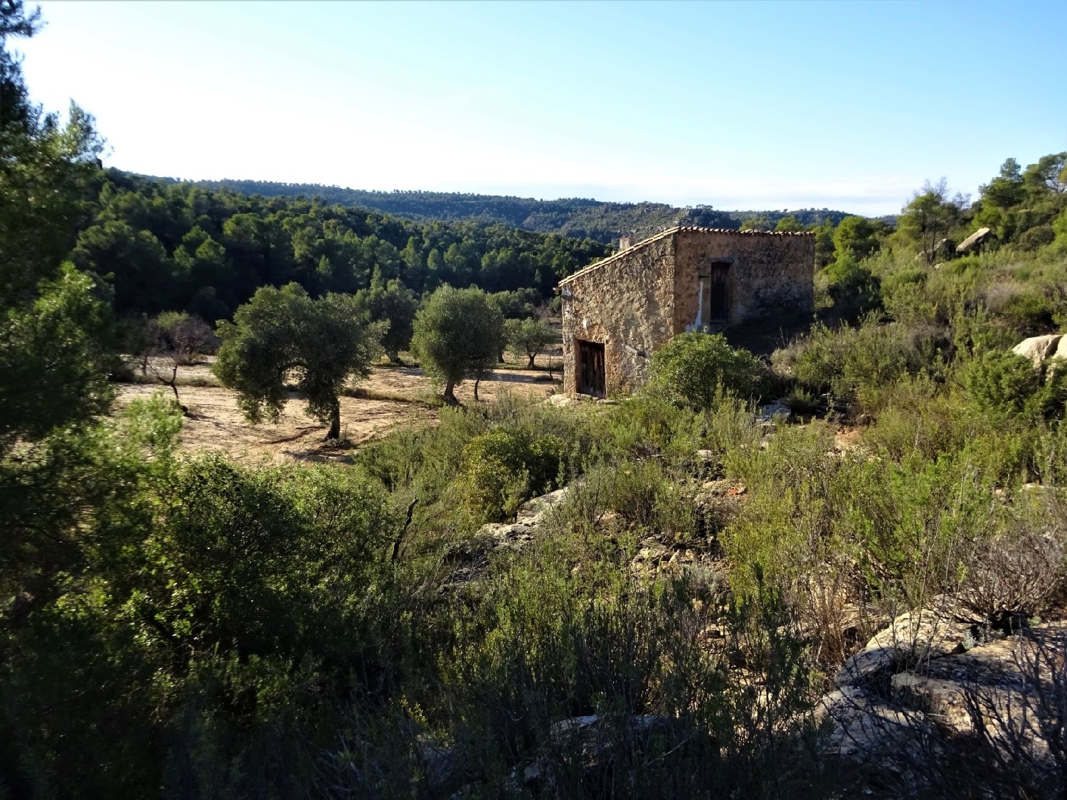  te koop boerderij Maella Bajo Aragón-Caspe 1