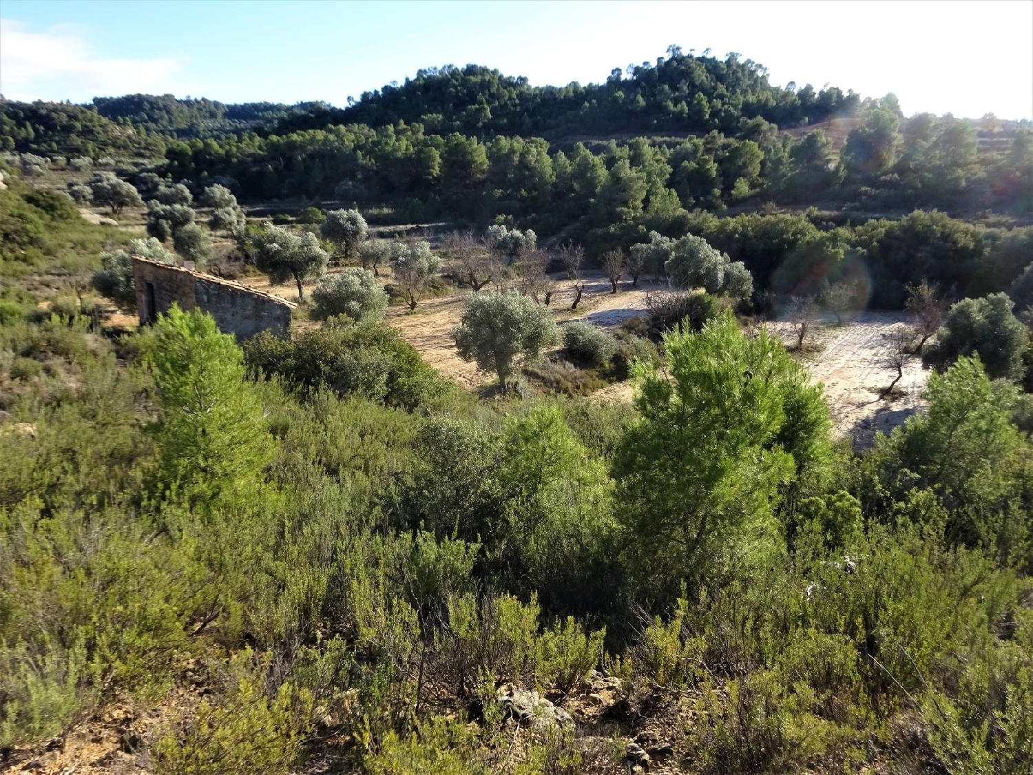  te koop boerderij Maella Bajo Aragón-Caspe 10