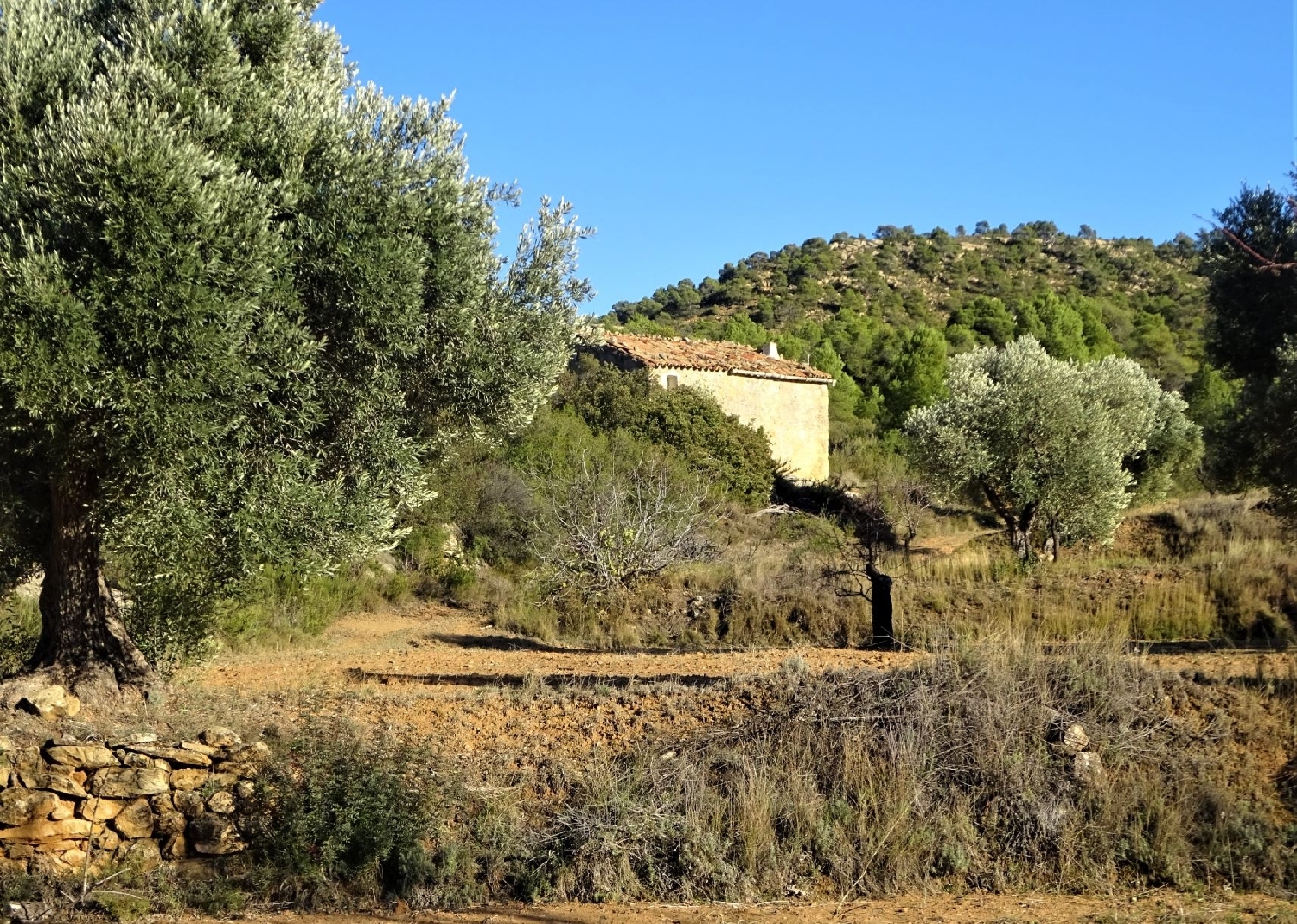 te koop boerderij Maella Bajo Aragón-Caspe 13