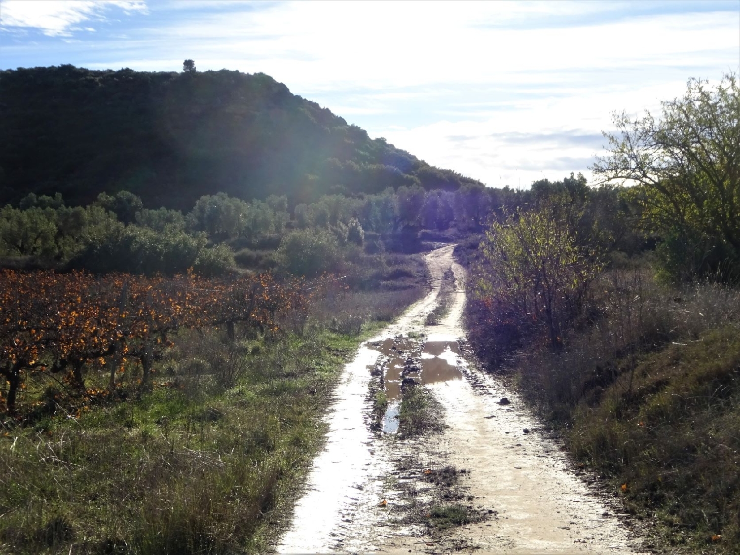  à vendre maison de campagne Maella Bajo Aragón-Caspe 3