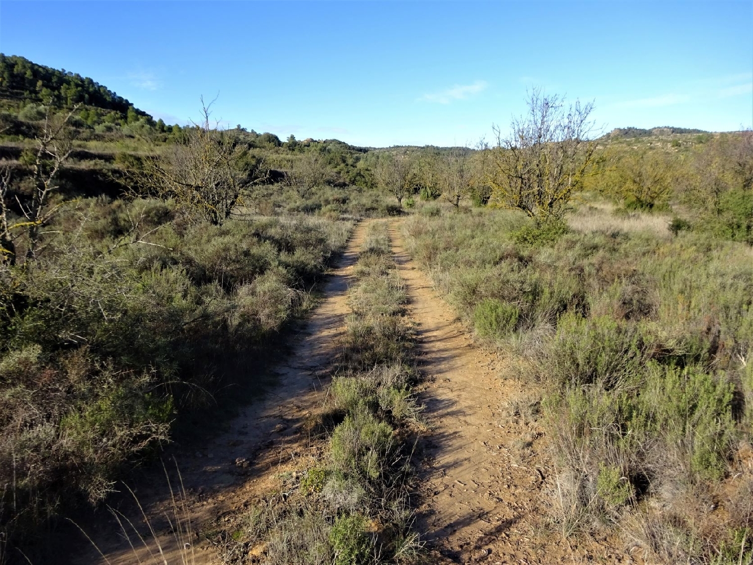  à vendre maison de campagne Maella Bajo Aragón-Caspe 4