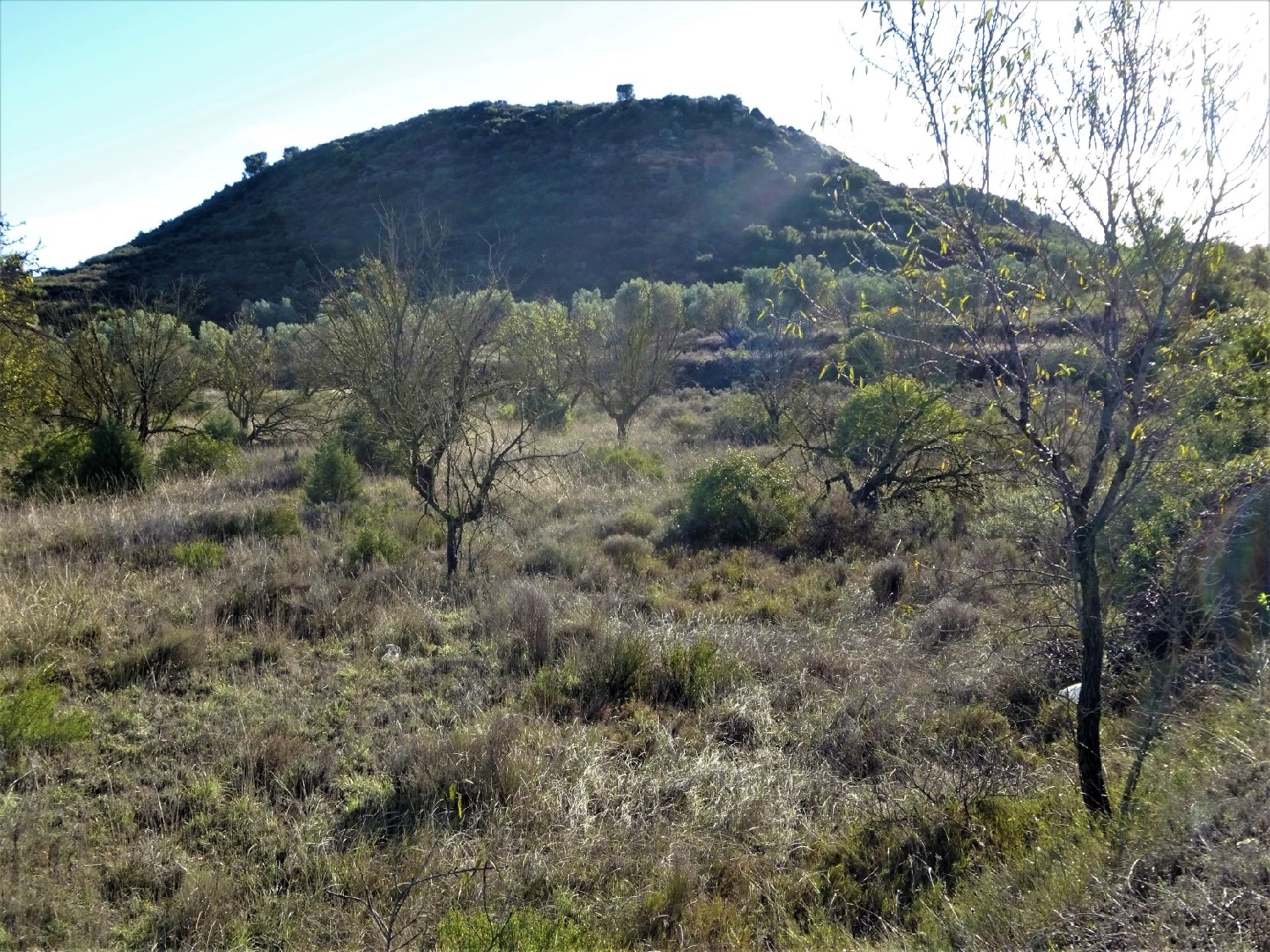  à vendre maison de campagne Maella Bajo Aragón-Caspe 9
