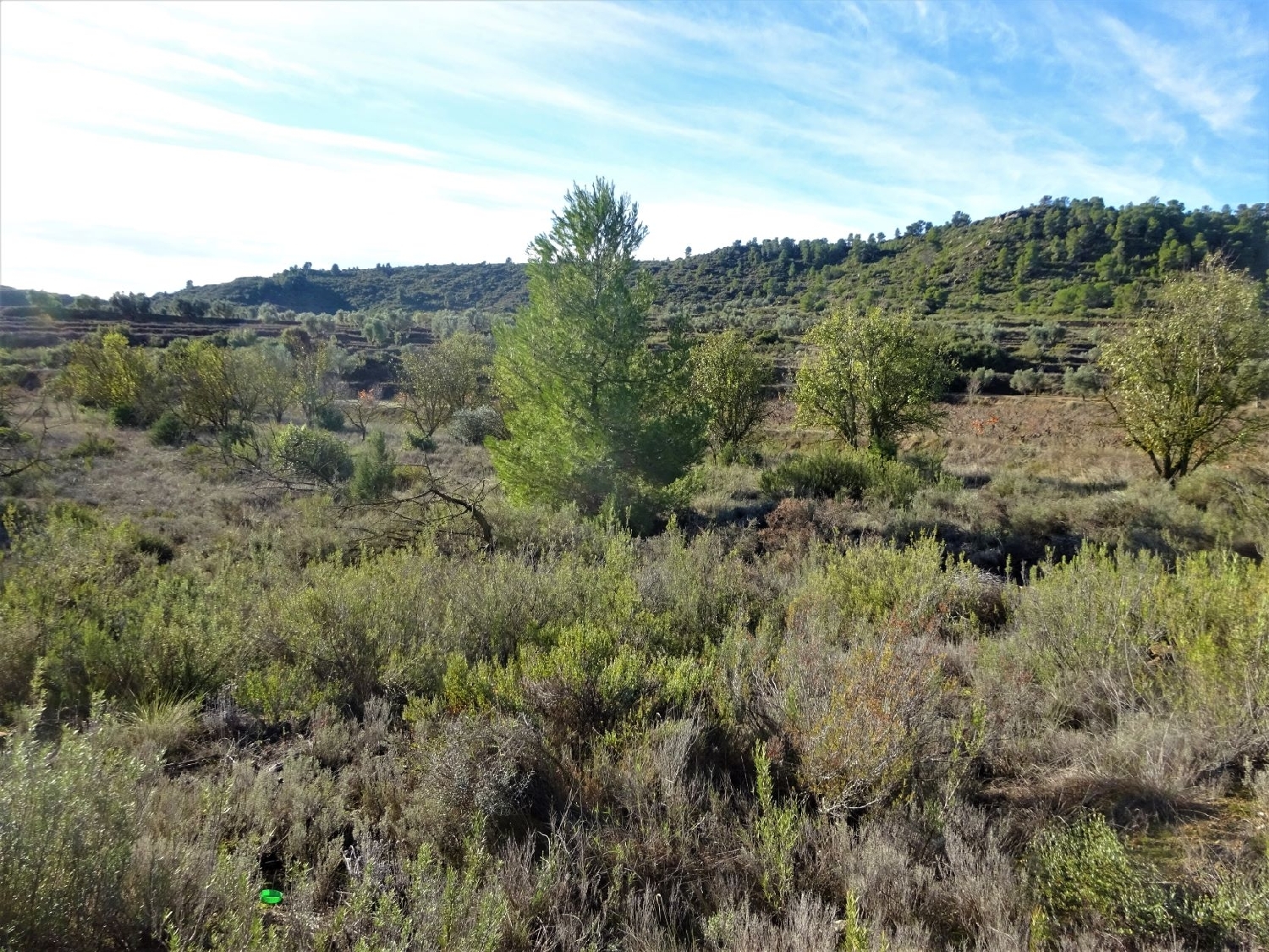  à vendre maison de campagne Maella Bajo Aragón-Caspe 6