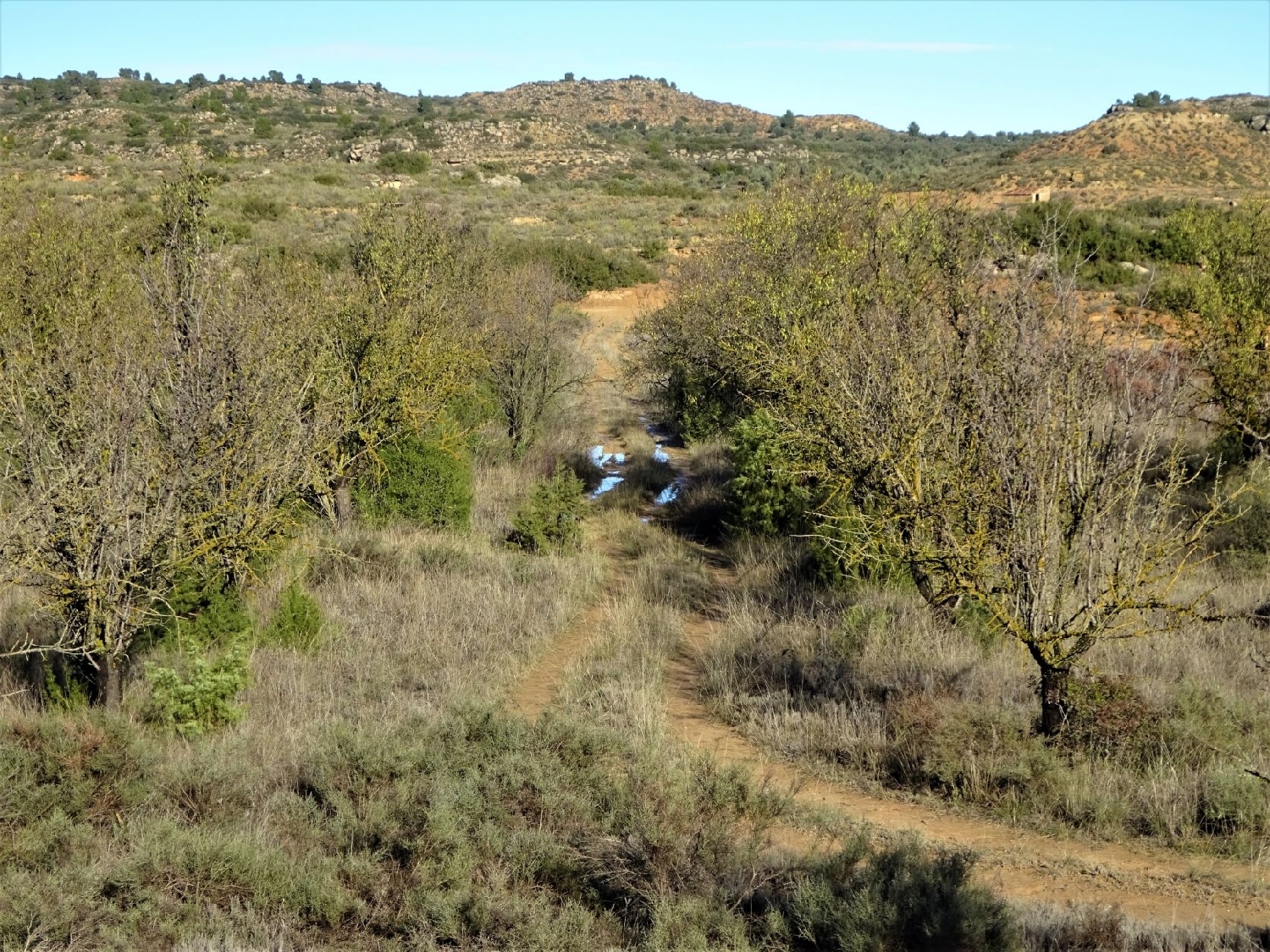  à vendre maison de campagne Maella Bajo Aragón-Caspe 13