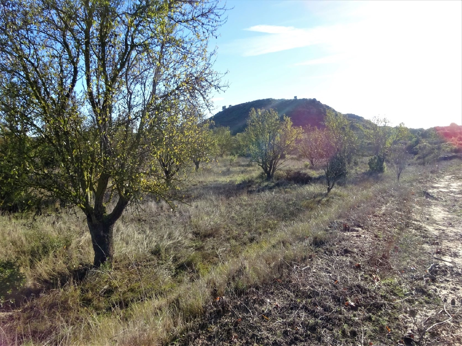  à vendre maison de campagne Maella Bajo Aragón-Caspe 8