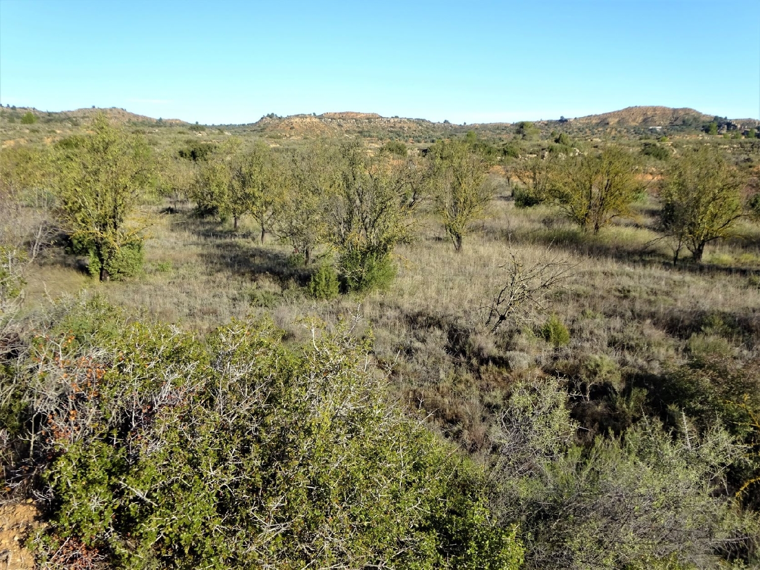  à vendre maison de campagne Maella Bajo Aragón-Caspe 12