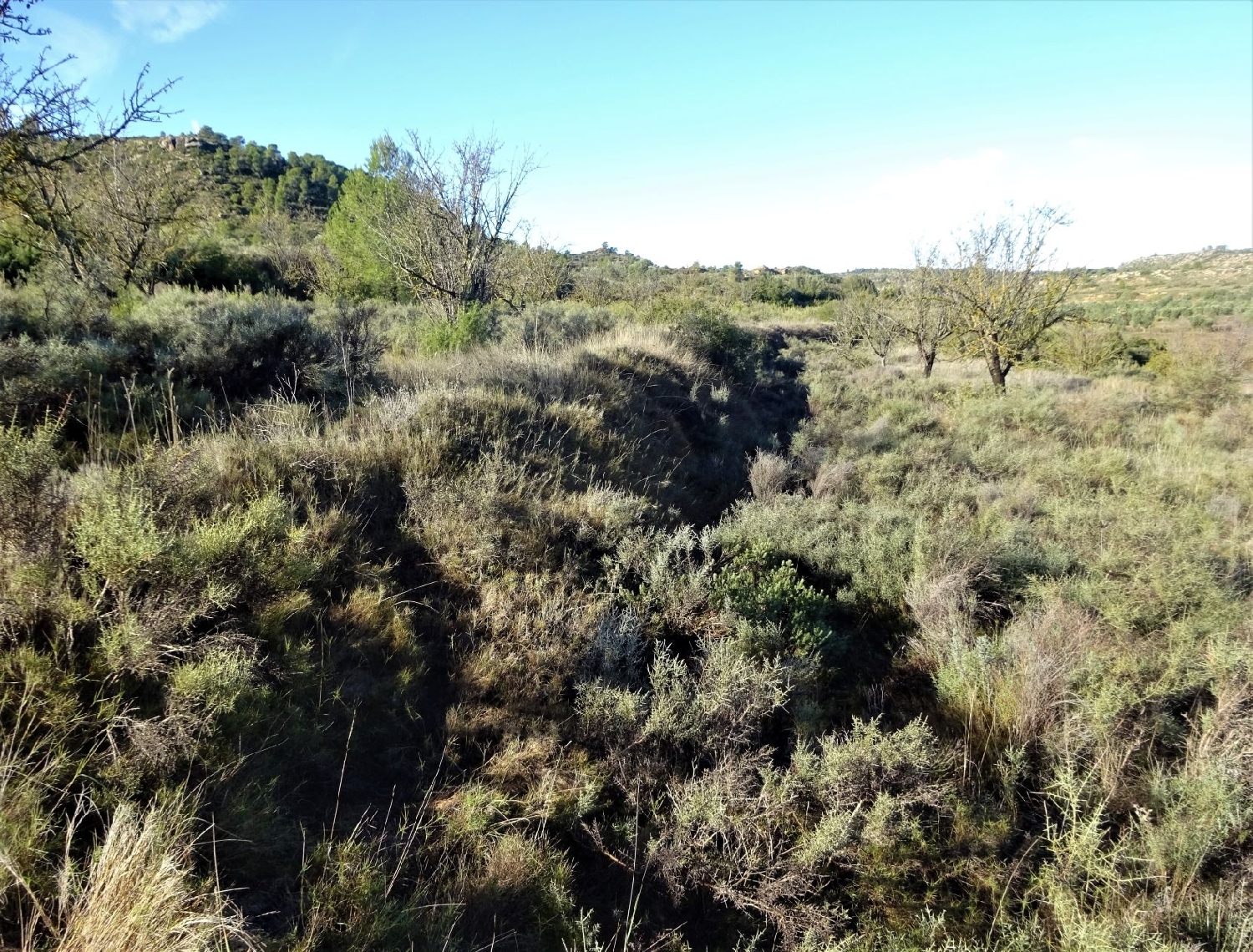  à vendre maison de campagne Maella Bajo Aragón-Caspe 10