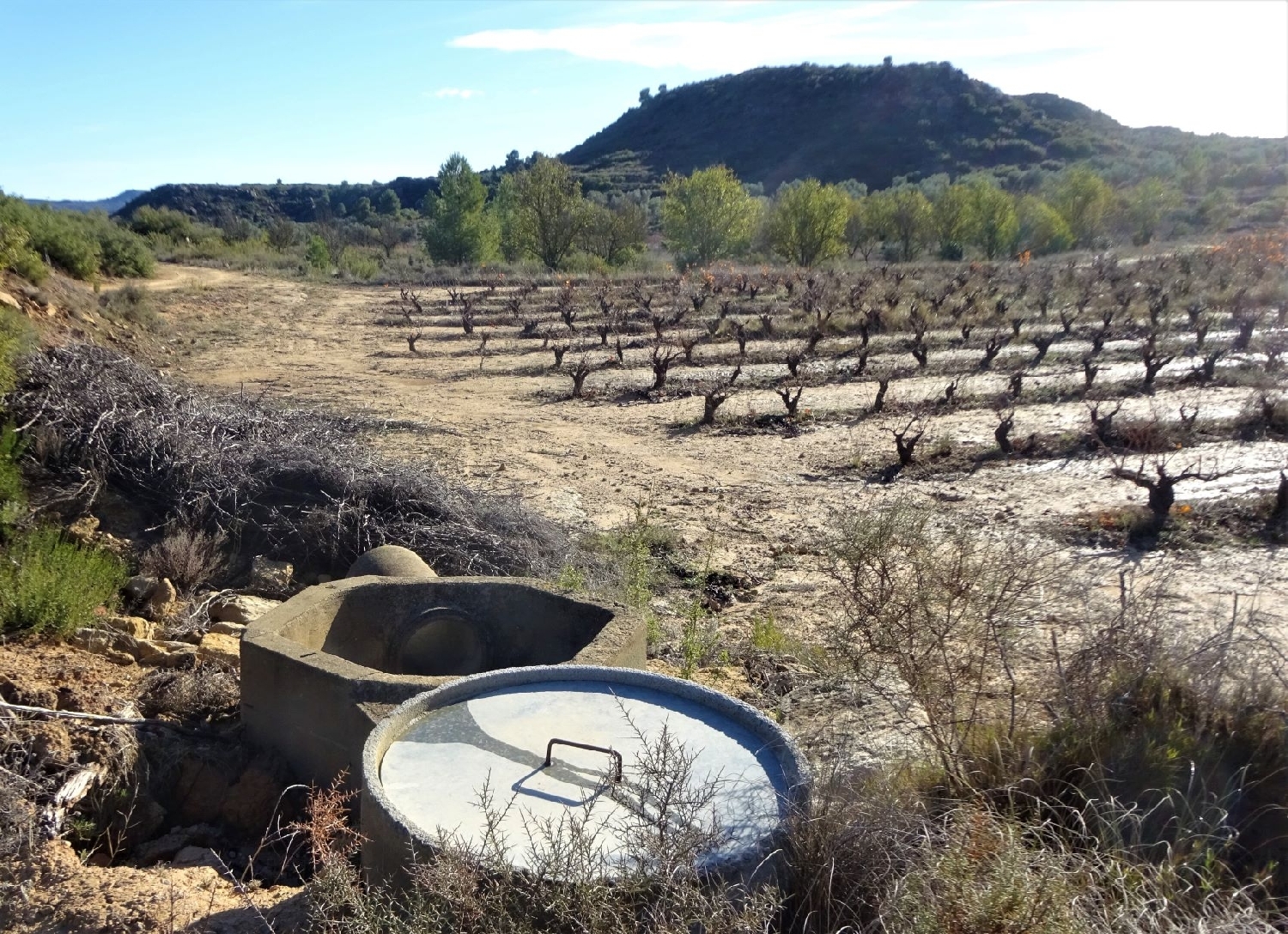  à vendre maison de campagne Maella Bajo Aragón-Caspe 2
