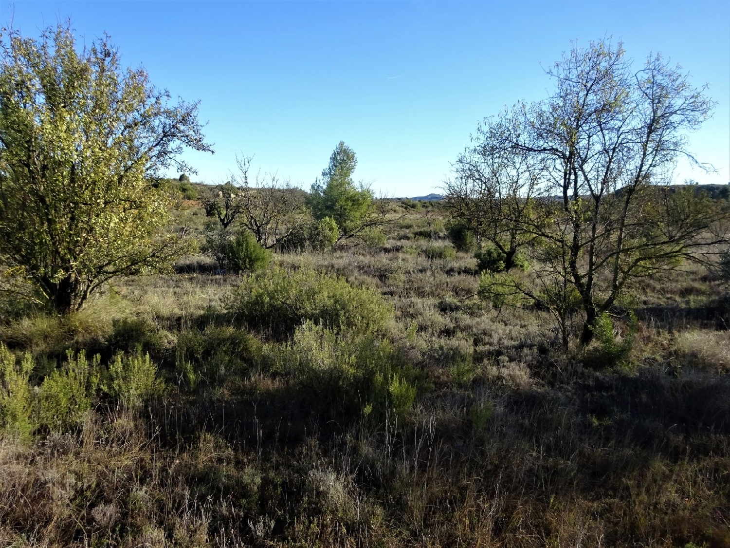  à vendre maison de campagne Maella Bajo Aragón-Caspe 7