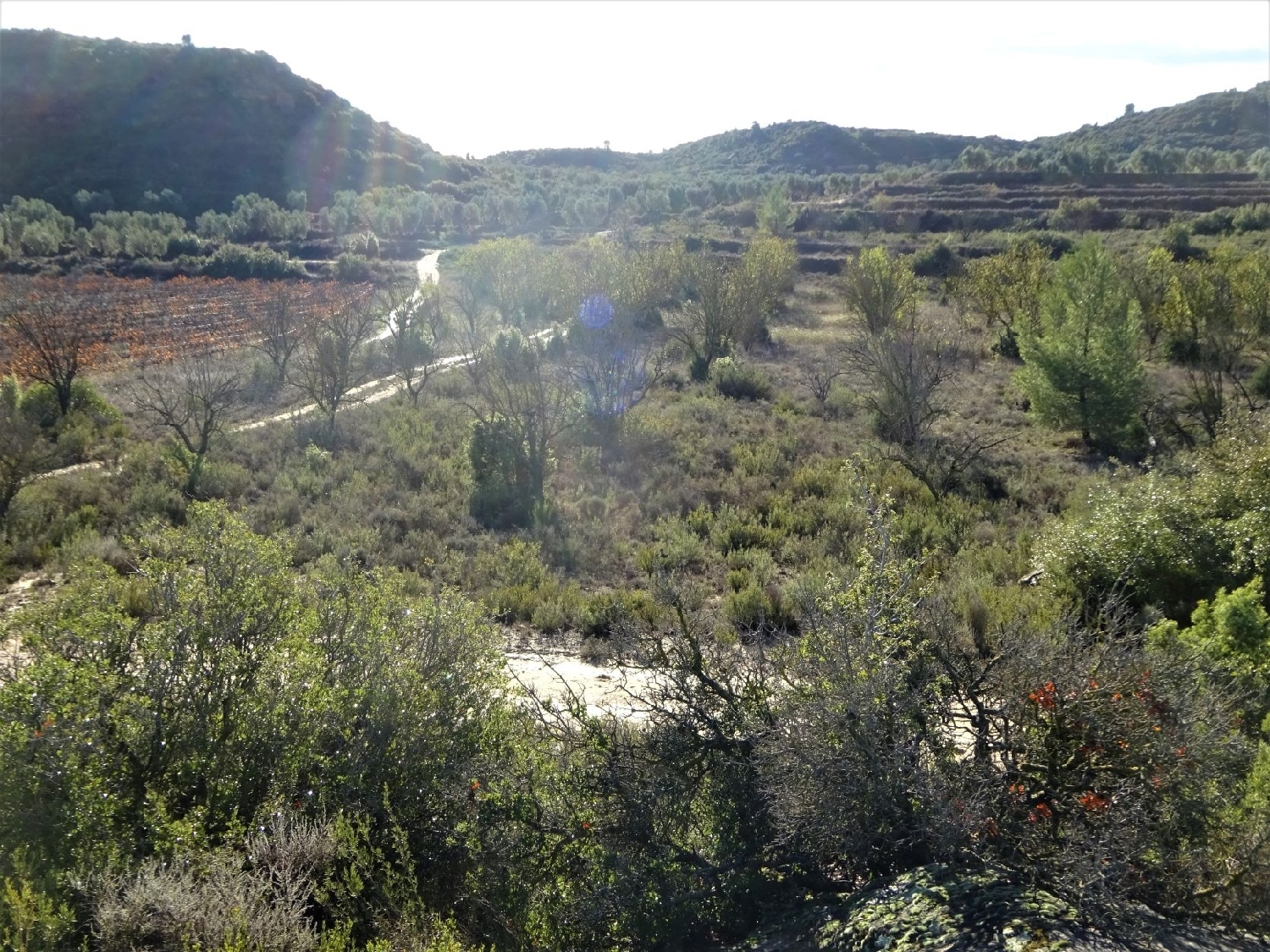  à vendre maison de campagne Maella Bajo Aragón-Caspe 5