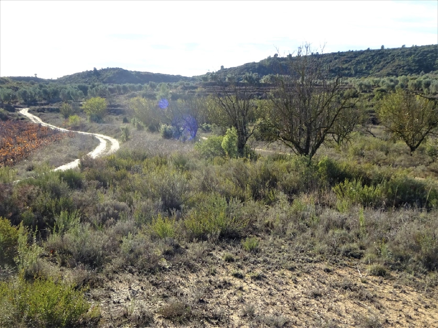  à vendre maison de campagne Maella Bajo Aragón-Caspe 1