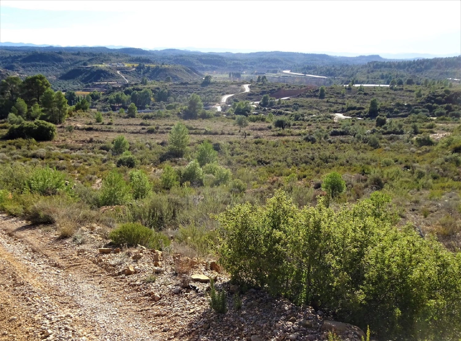  te koop boerderij Maella Bajo Aragón-Caspe 2