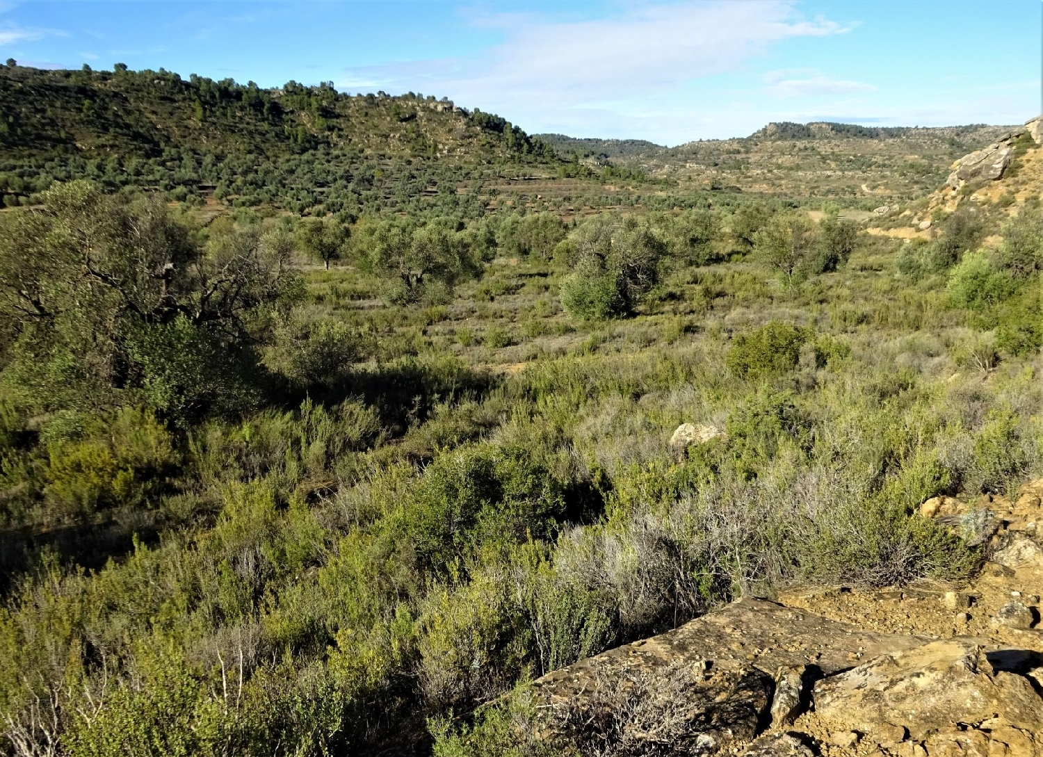  te koop boerderij Maella Bajo Aragón-Caspe 6