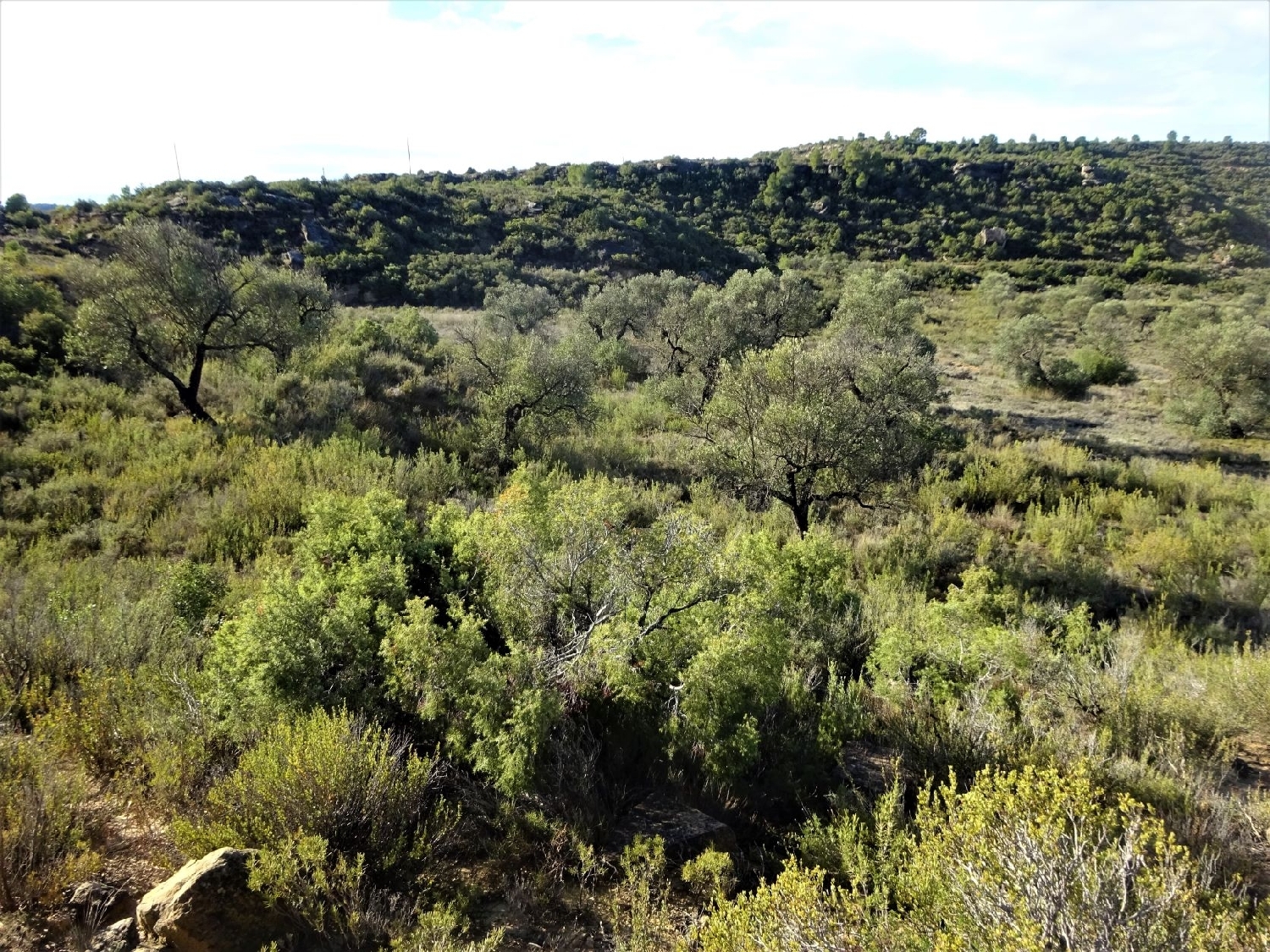  te koop boerderij Maella Bajo Aragón-Caspe 7