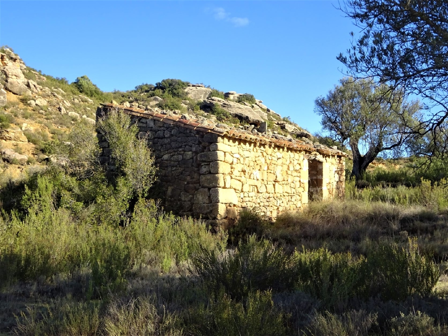  te koop boerderij Maella Bajo Aragón-Caspe 12