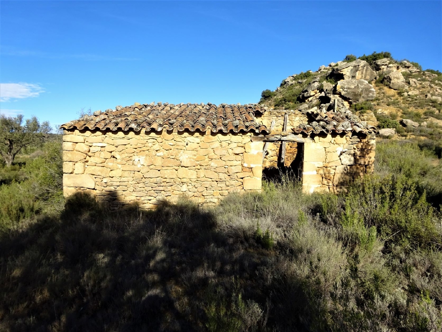  te koop boerderij Maella Bajo Aragón-Caspe 13