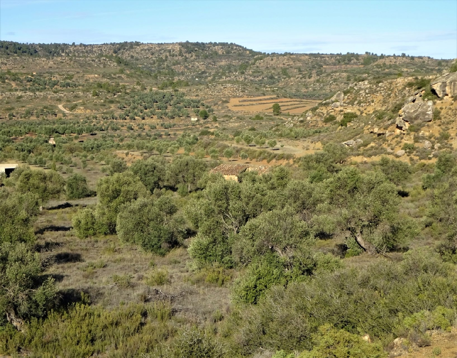  te koop boerderij Maella Bajo Aragón-Caspe 4