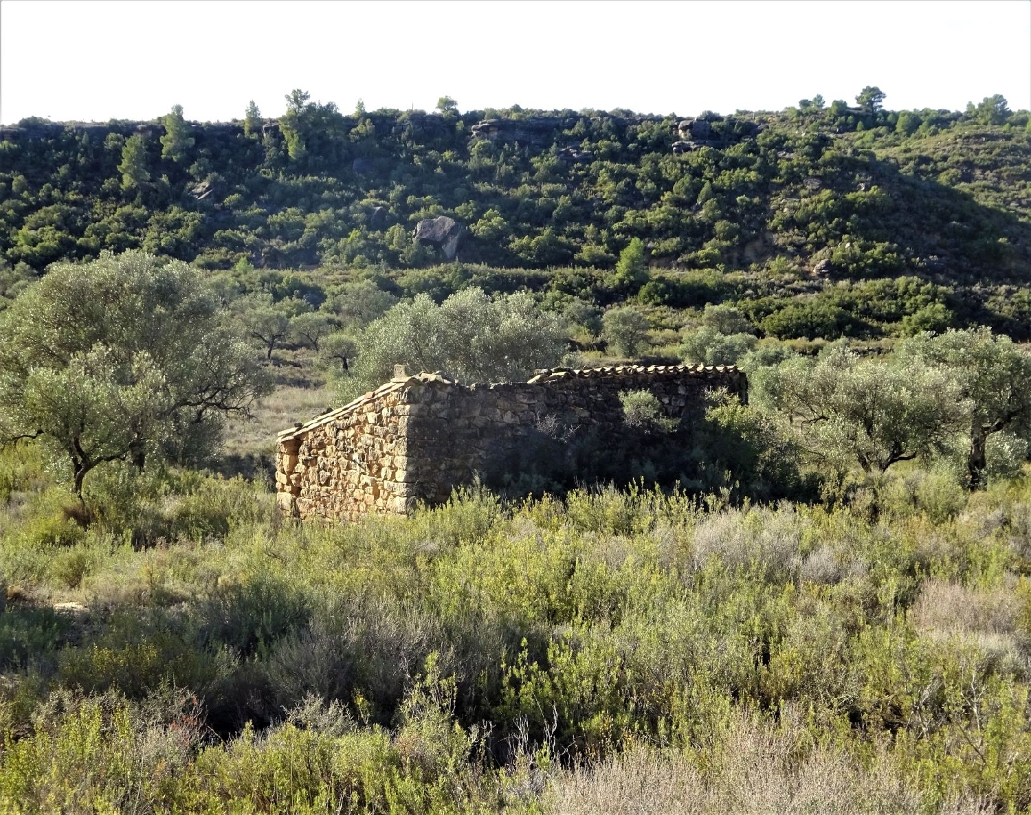  te koop boerderij Maella Bajo Aragón-Caspe 9