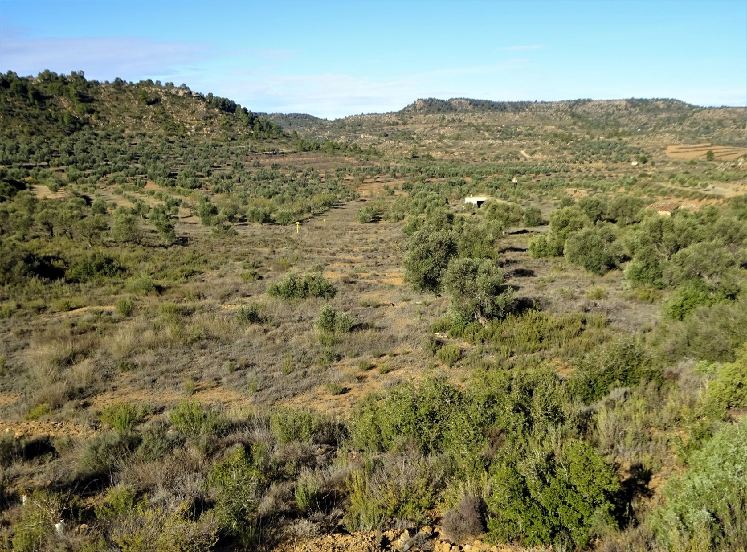  te koop boerderij Maella Bajo Aragón-Caspe 5