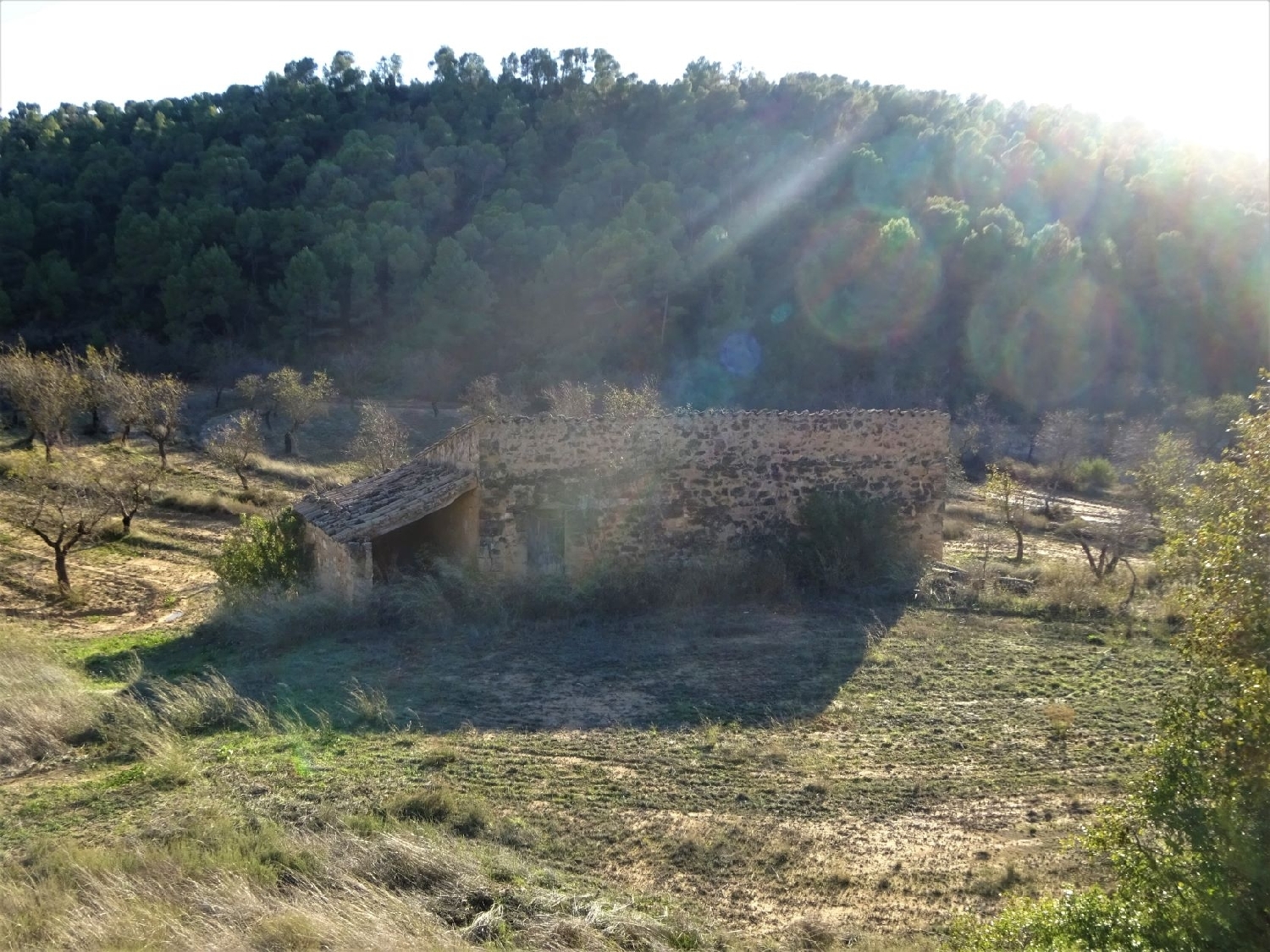  te koop boerderij Maella Bajo Aragón-Caspe 5