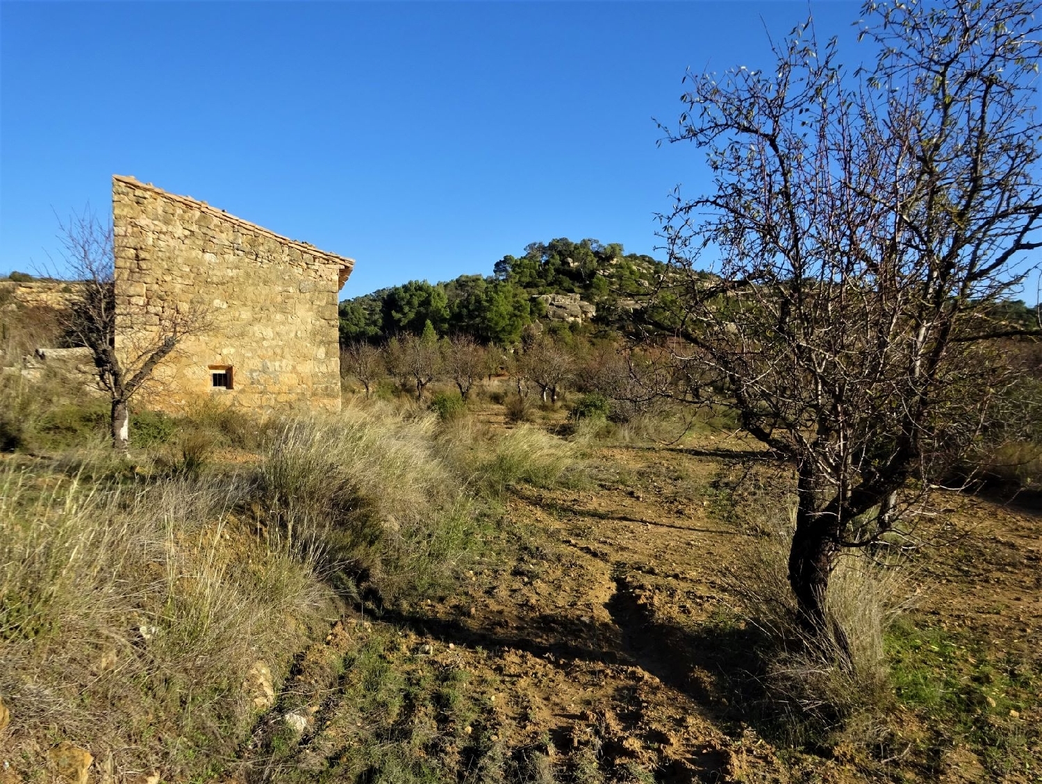  te koop boerderij Maella Bajo Aragón-Caspe 8
