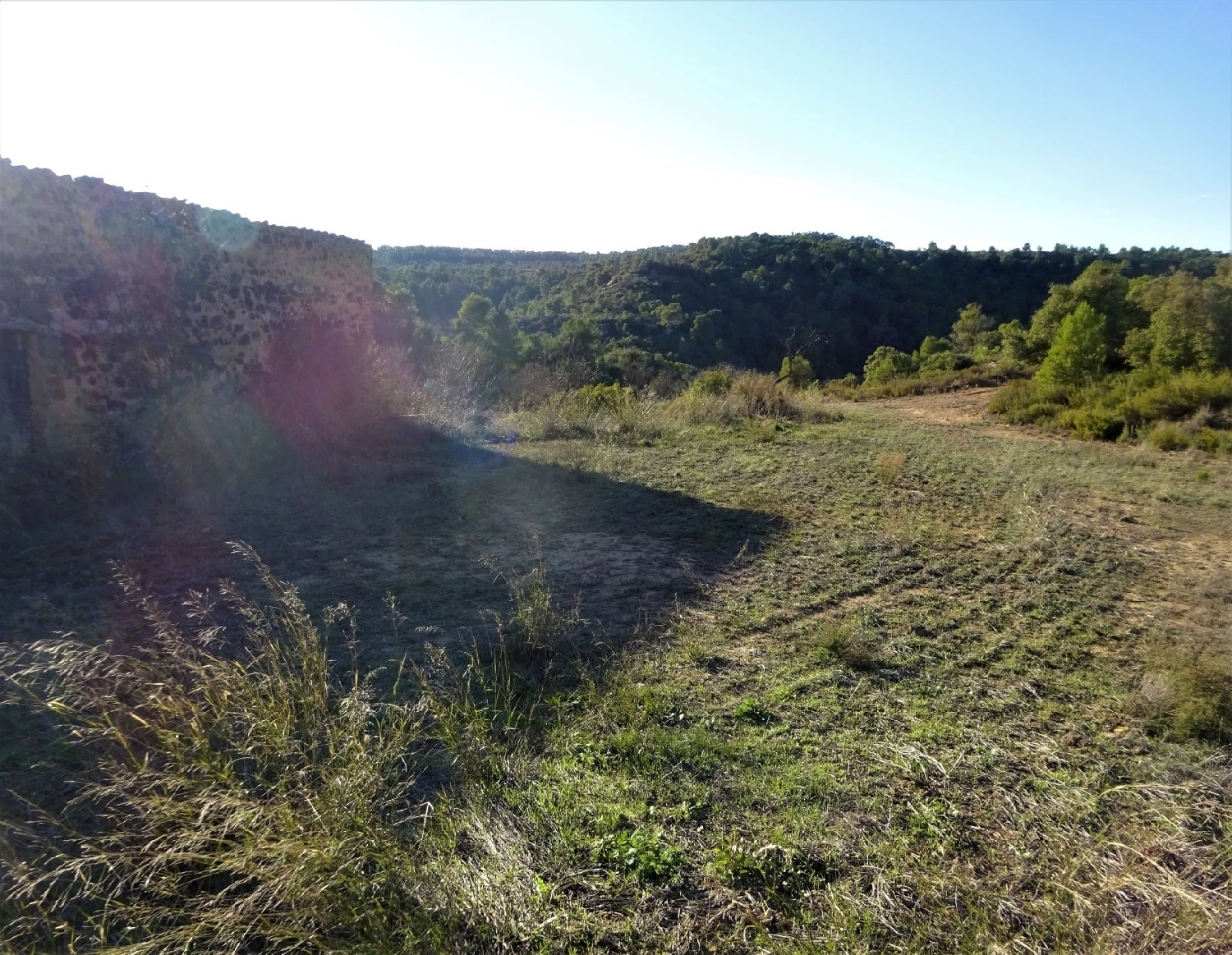  te koop boerderij Maella Bajo Aragón-Caspe 6
