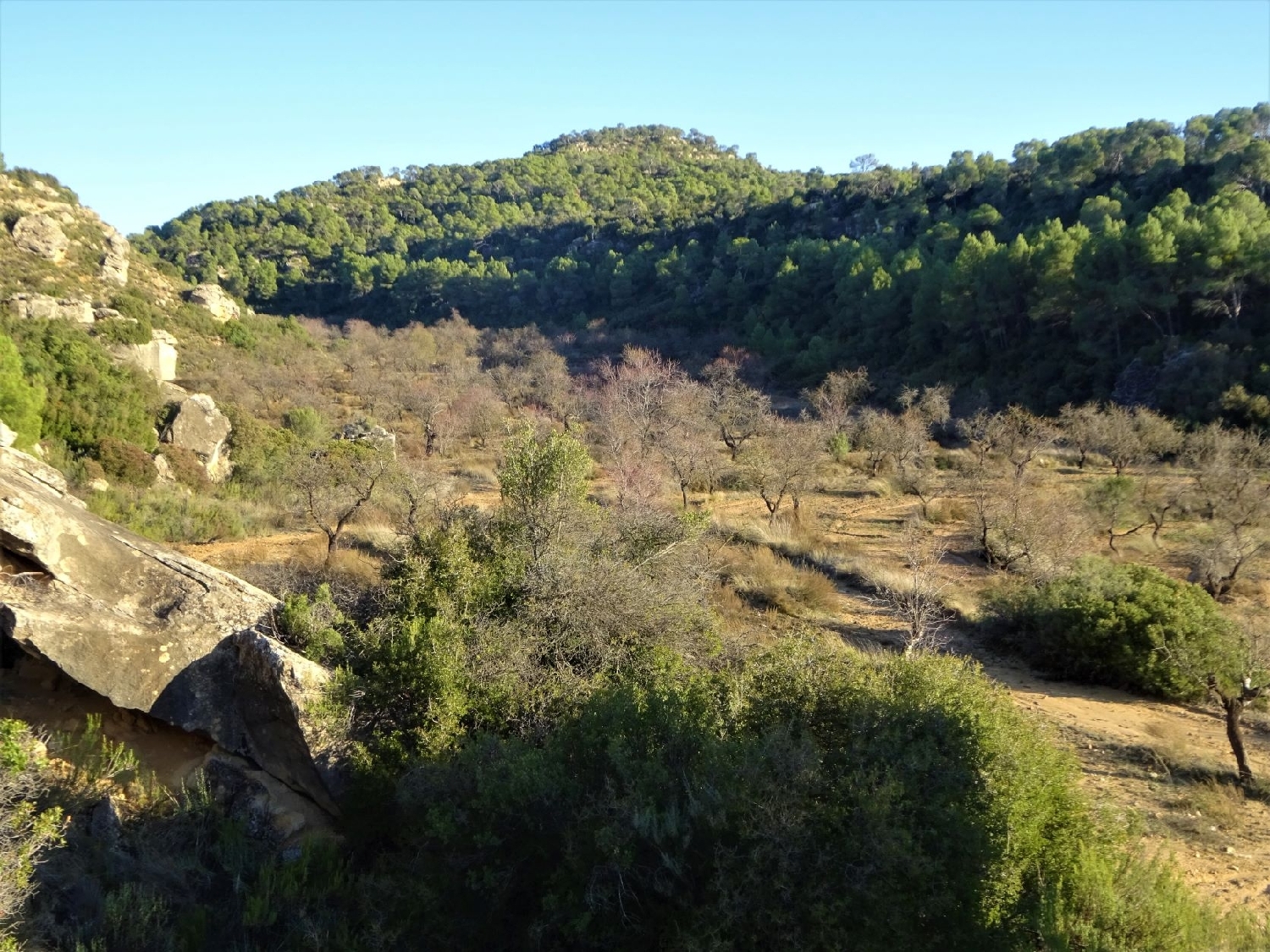  te koop boerderij Maella Bajo Aragón-Caspe 2