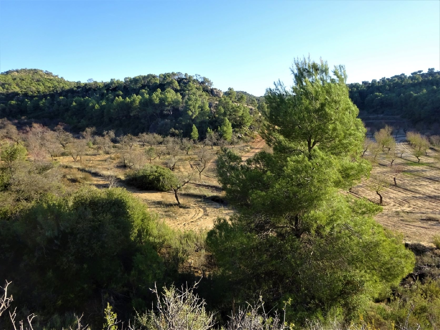  te koop boerderij Maella Bajo Aragón-Caspe 3