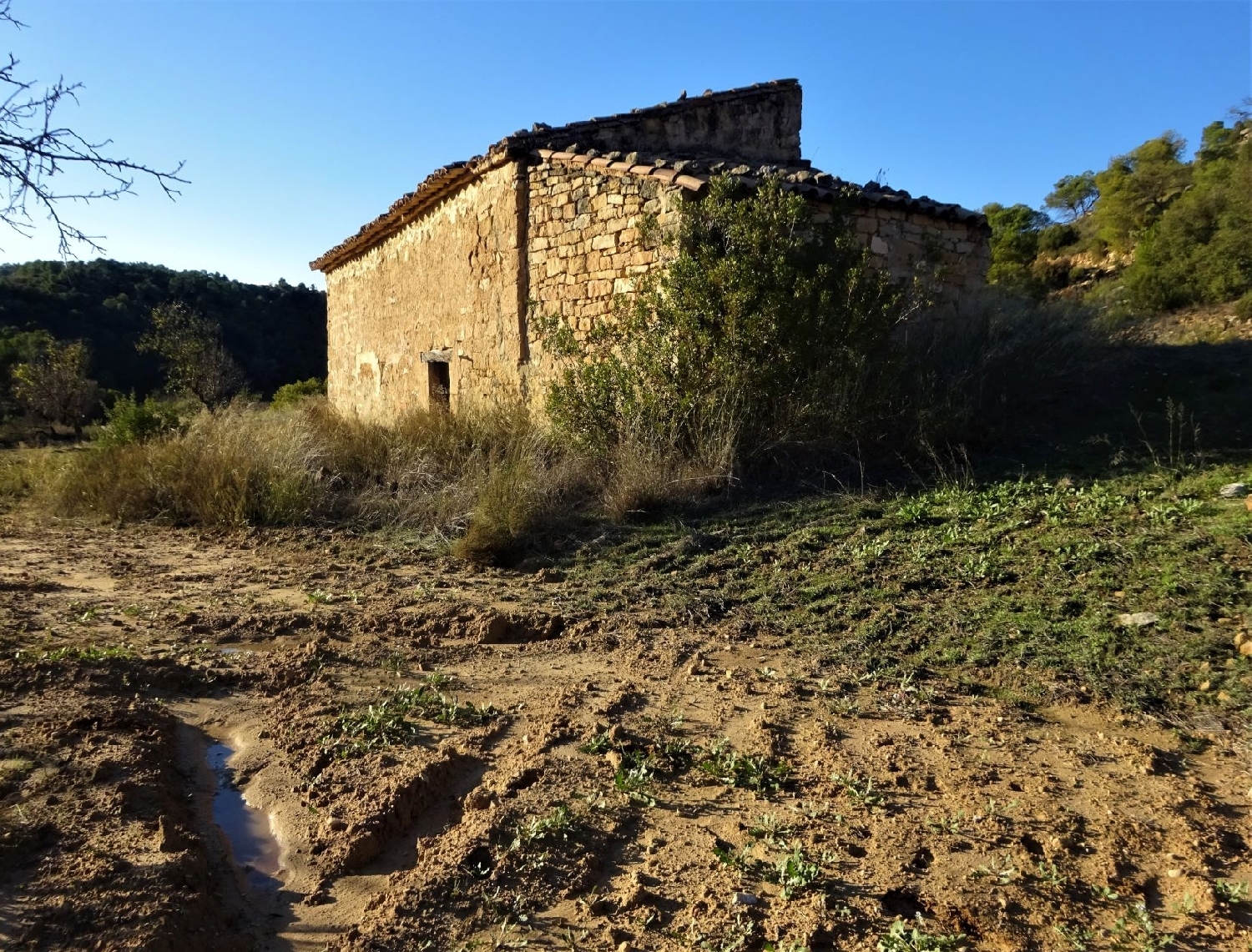  te koop boerderij Maella Bajo Aragón-Caspe 13