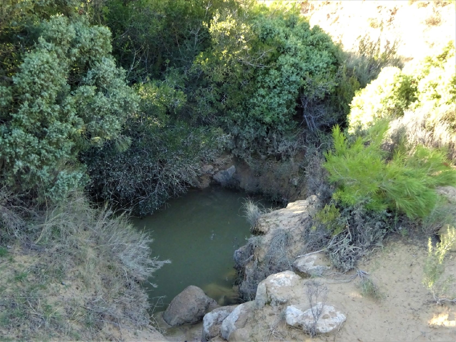  te koop boerderij Maella Bajo Aragón-Caspe 14