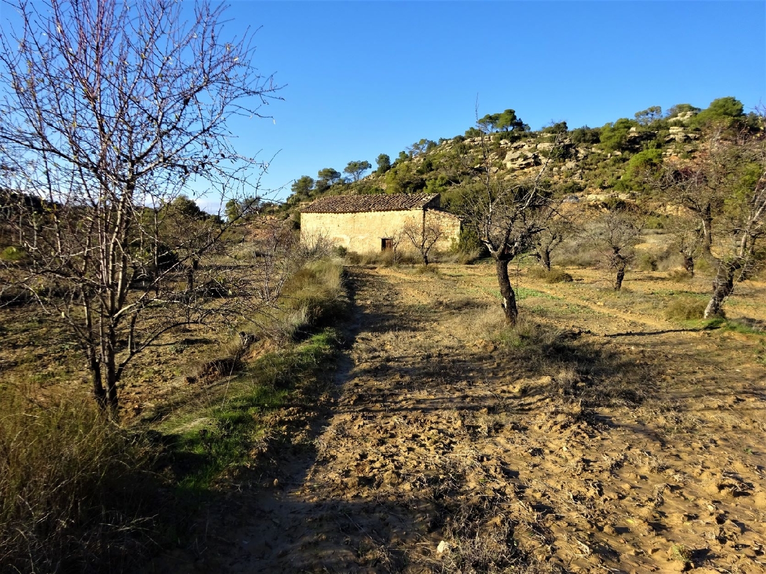  te koop boerderij Maella Bajo Aragón-Caspe 9