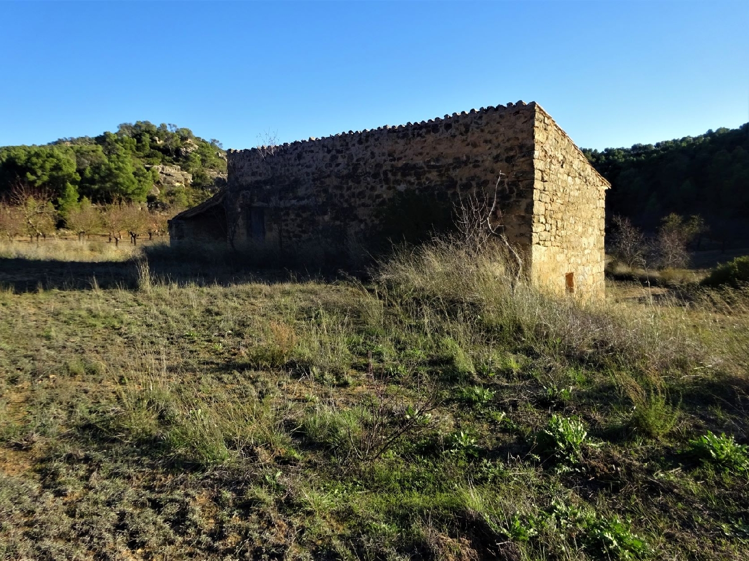  te koop boerderij Maella Bajo Aragón-Caspe 7