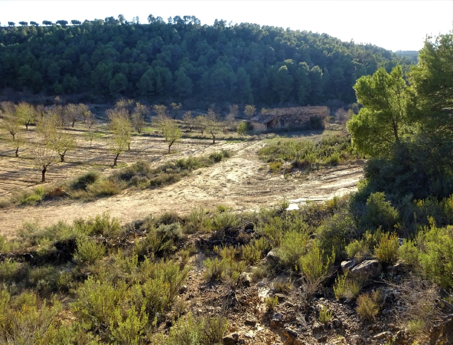 te koop boerderij Maella Bajo Aragón-Caspe 4