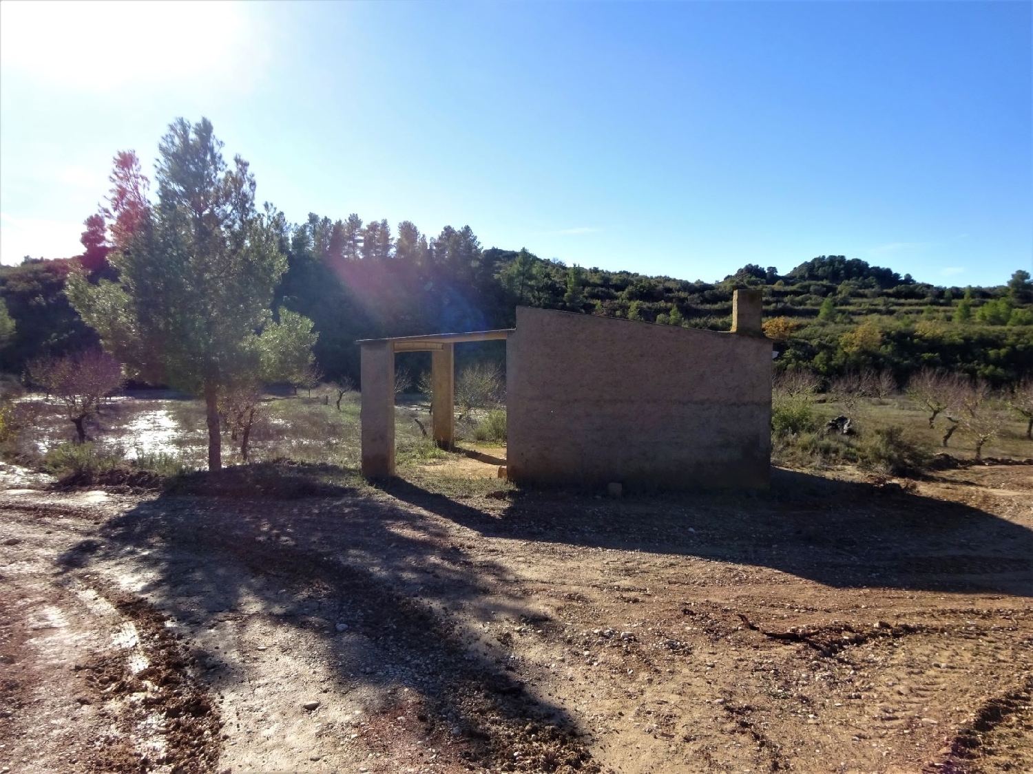  à vendre maison de campagne Maella Bajo Aragón-Caspe 4