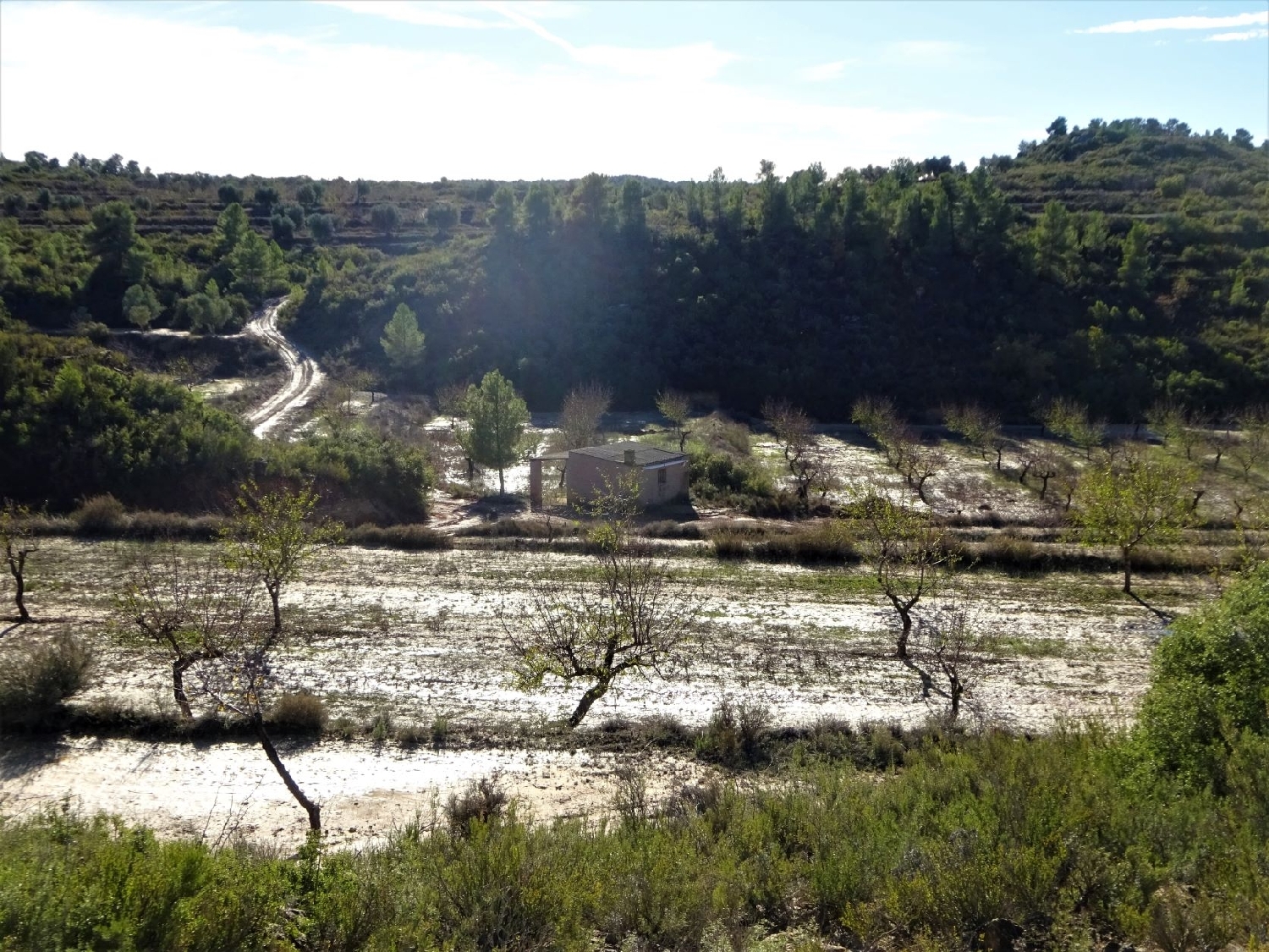  à vendre maison de campagne Maella Bajo Aragón-Caspe 2