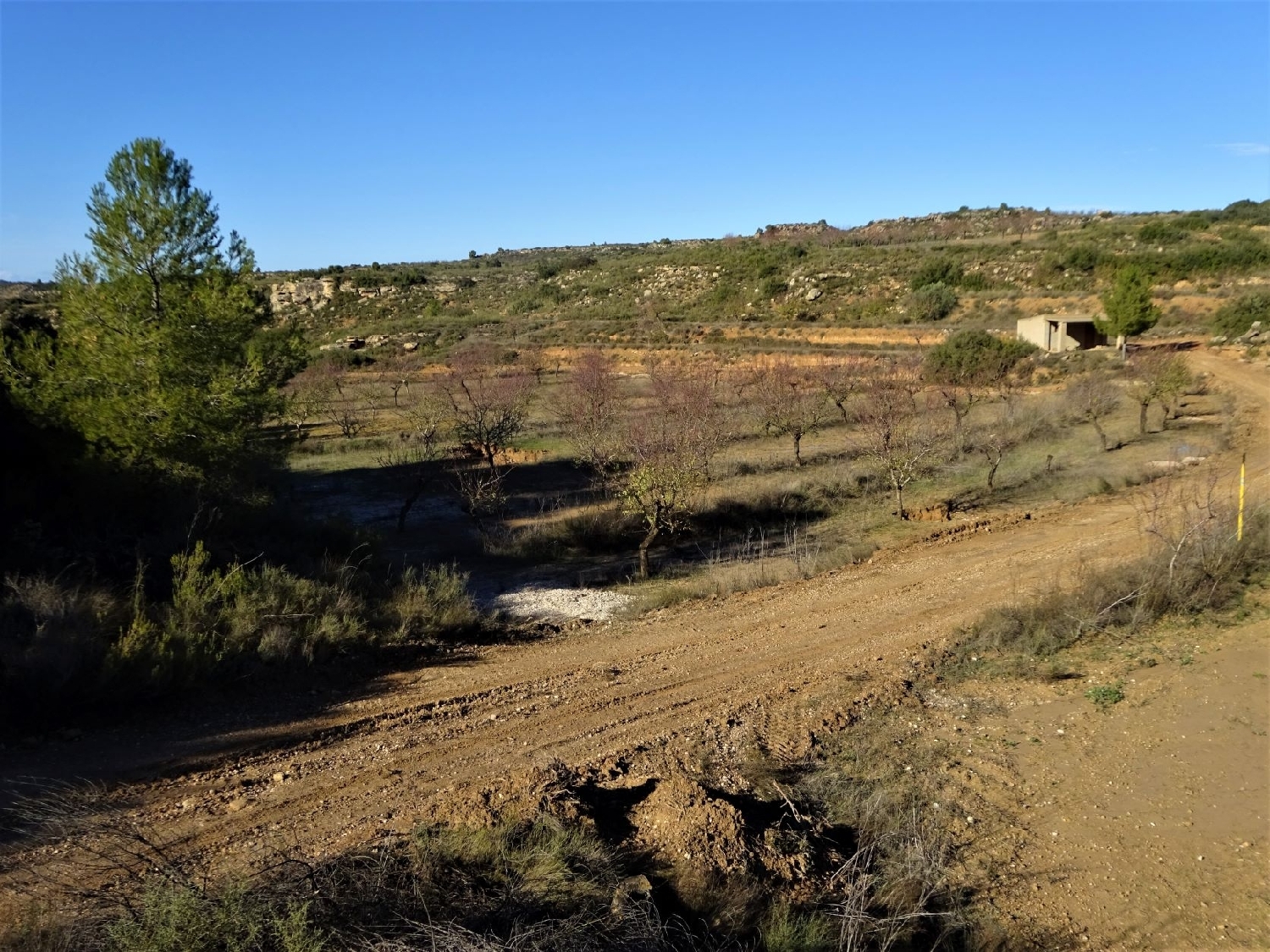  à vendre maison de campagne Maella Bajo Aragón-Caspe 13