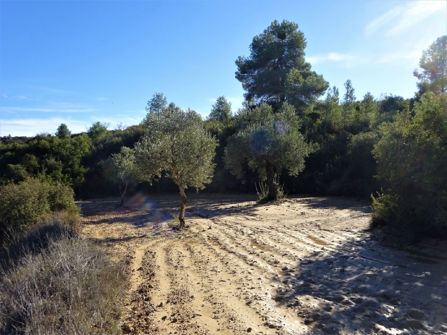 à vendre maison de campagne Maella Bajo Aragón-Caspe 14