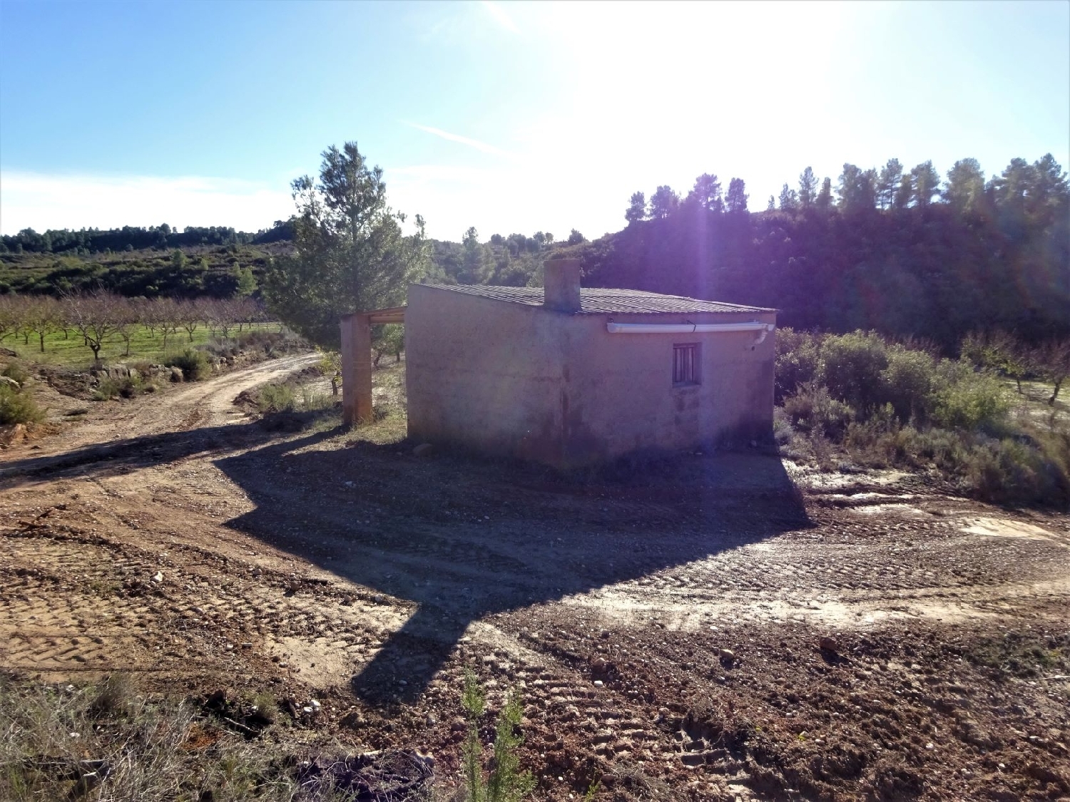  à vendre maison de campagne Maella Bajo Aragón-Caspe 5