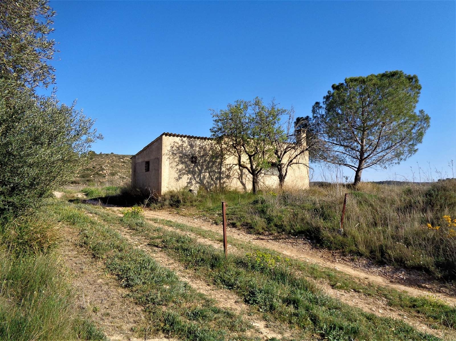  à vendre maison de campagne Maella Bajo Aragón-Caspe 4