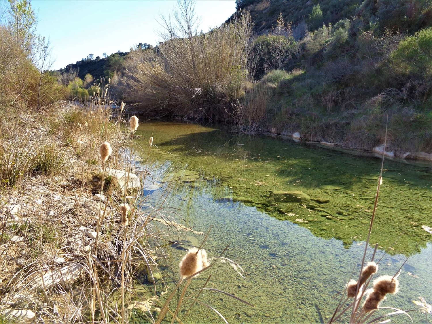  à vendre maison de campagne Maella Bajo Aragón-Caspe 3