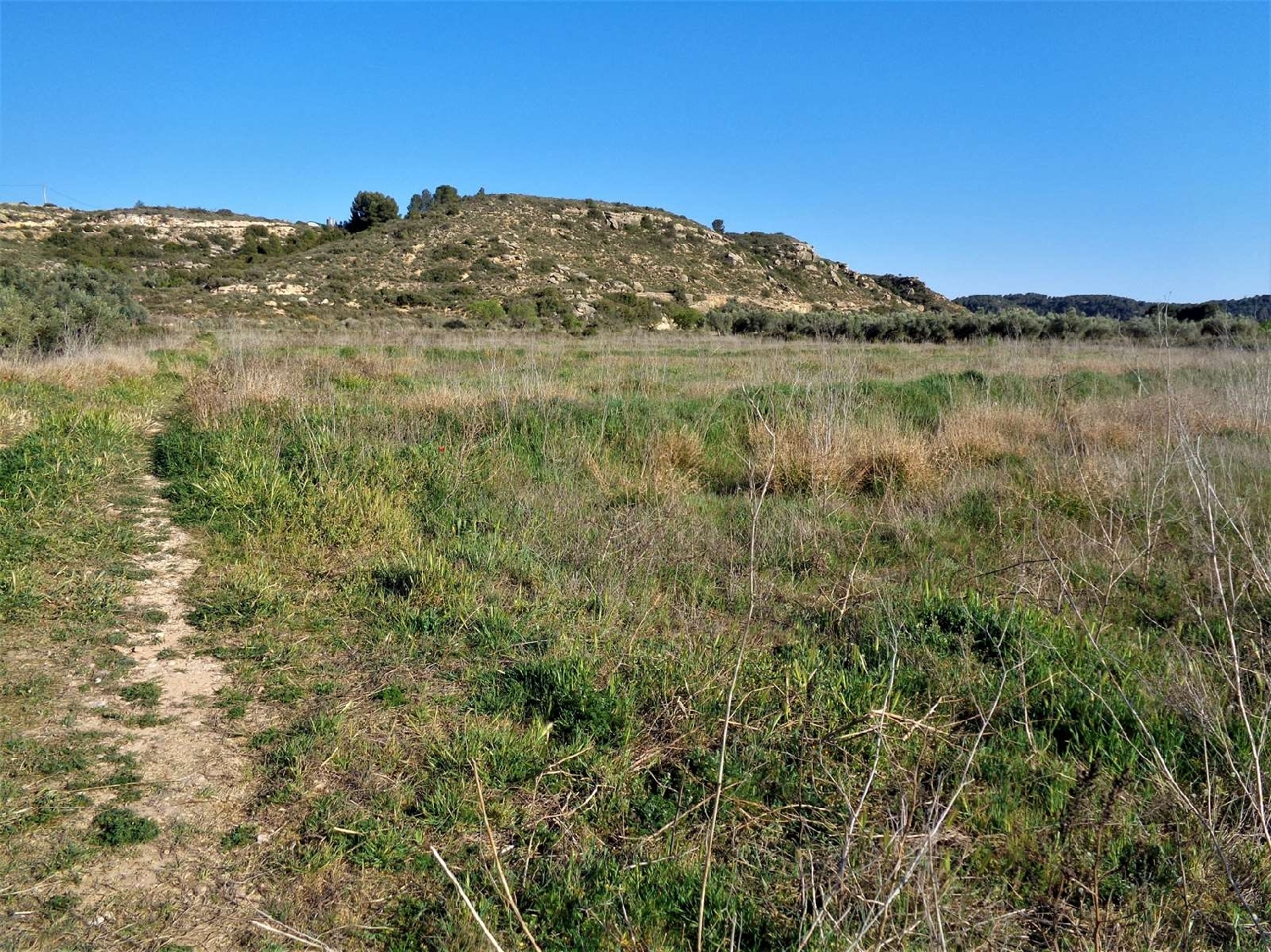  à vendre maison de campagne Maella Bajo Aragón-Caspe 8