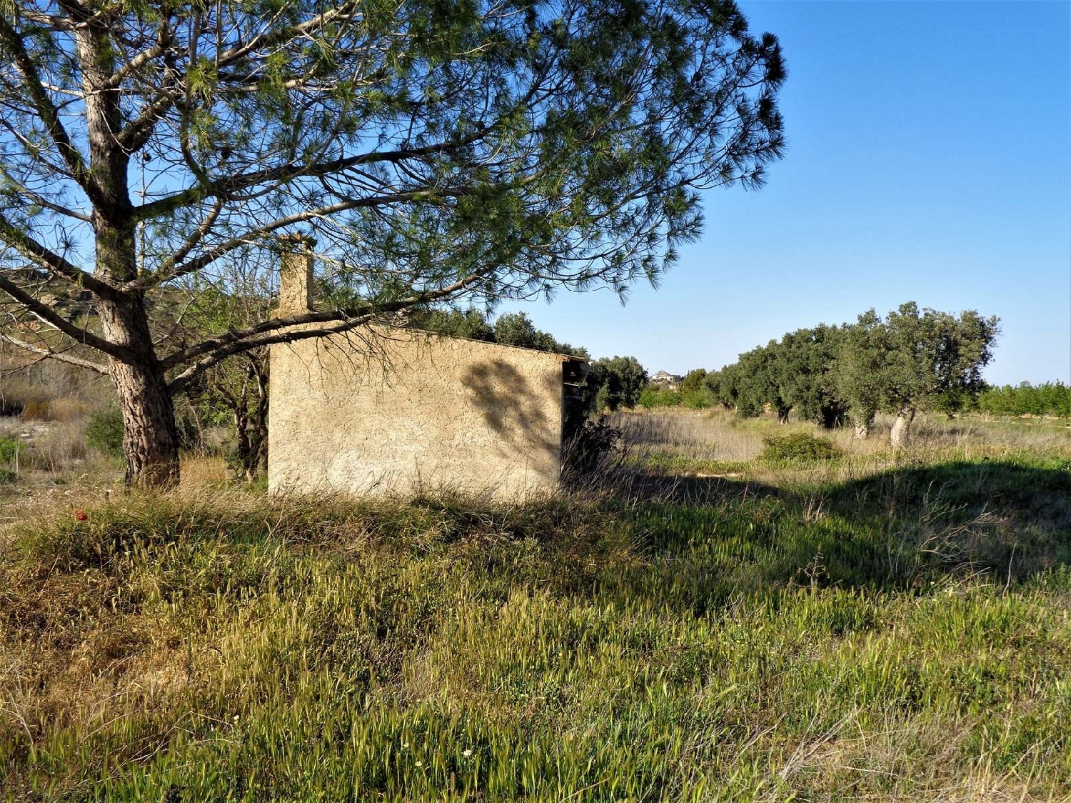  à vendre maison de campagne Maella Bajo Aragón-Caspe 7